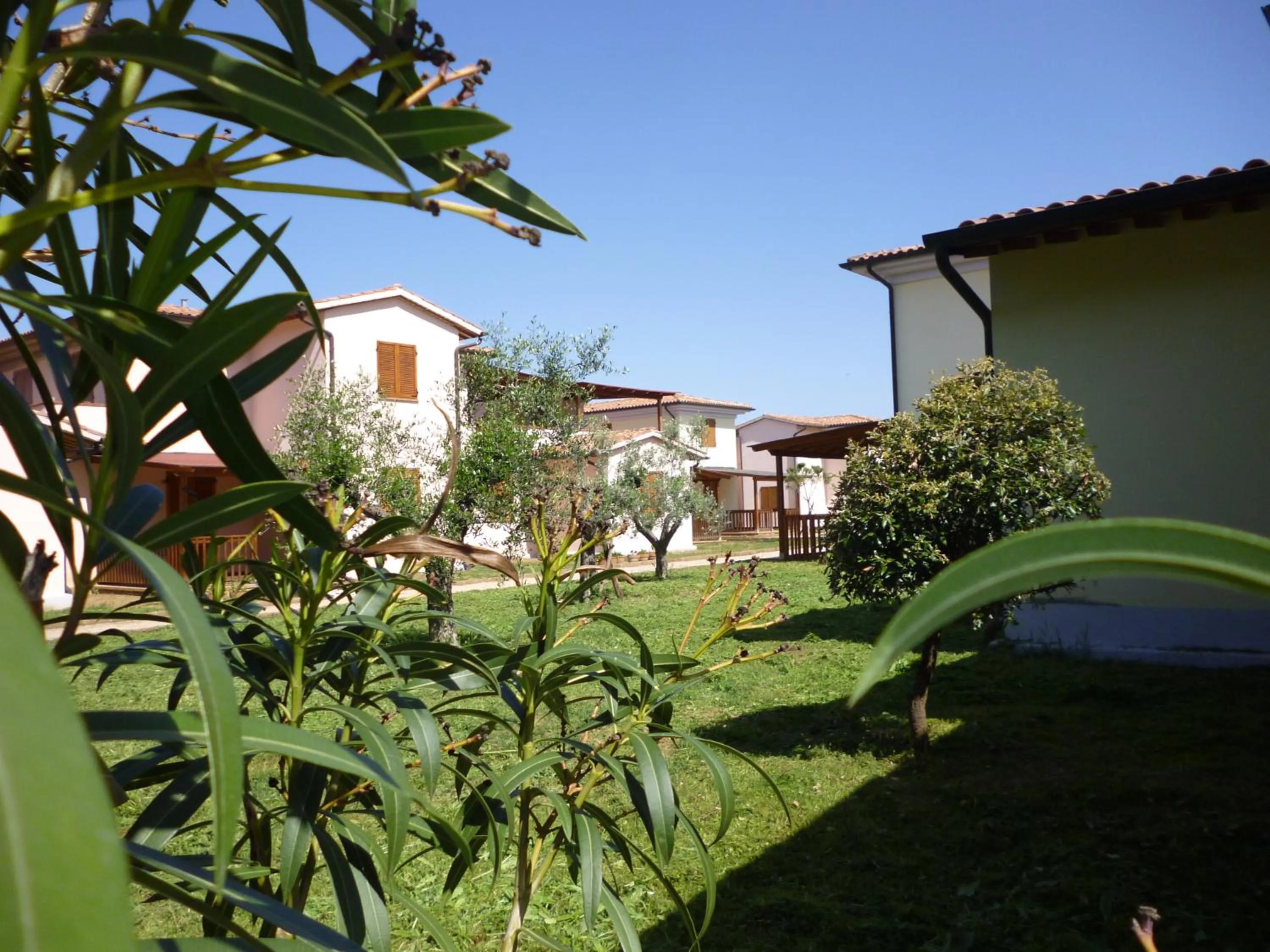 Garden in Baia Etrusca Resort