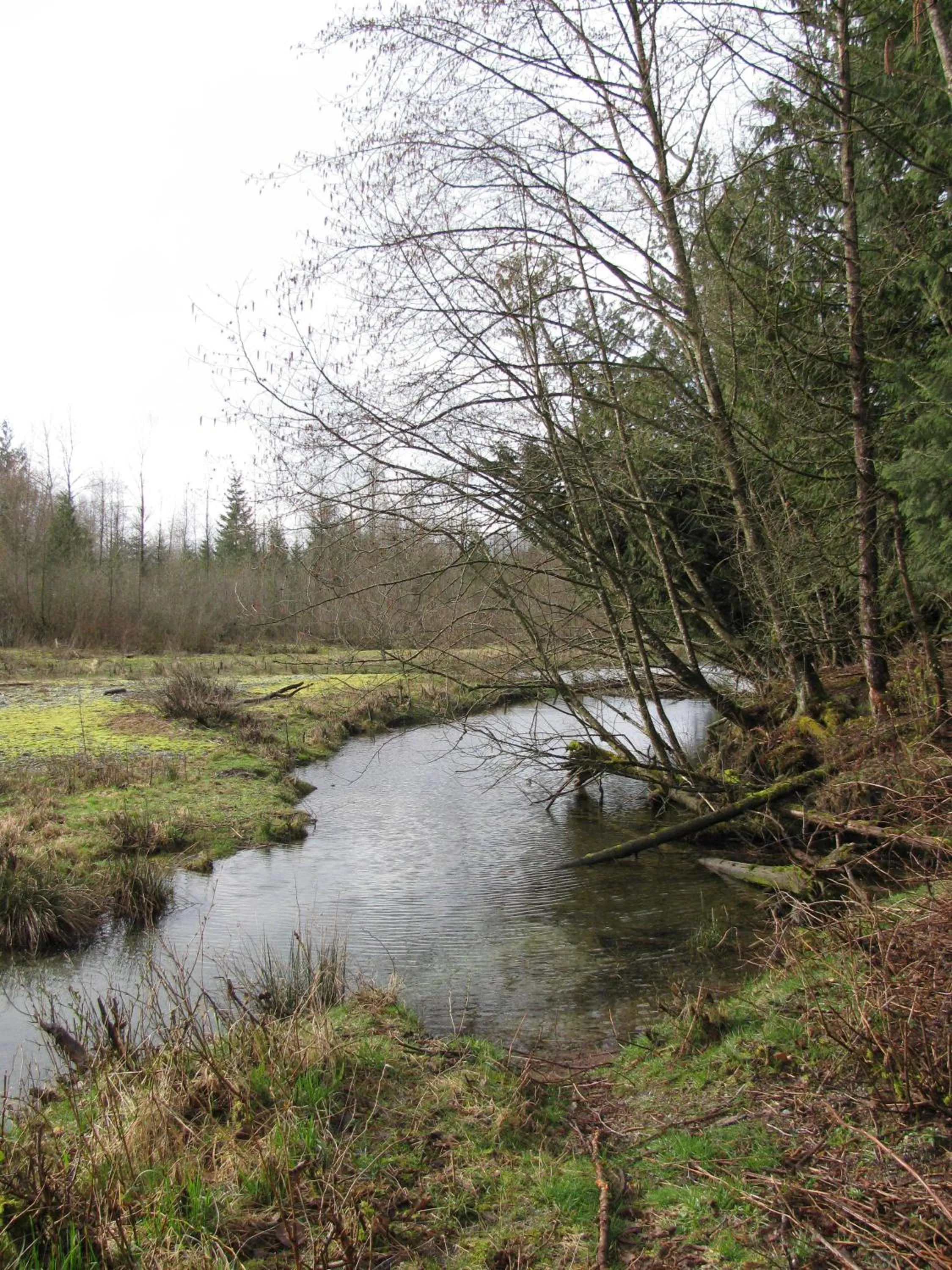 Fishing in Sasquatch Crossing Eco Lodge B&B