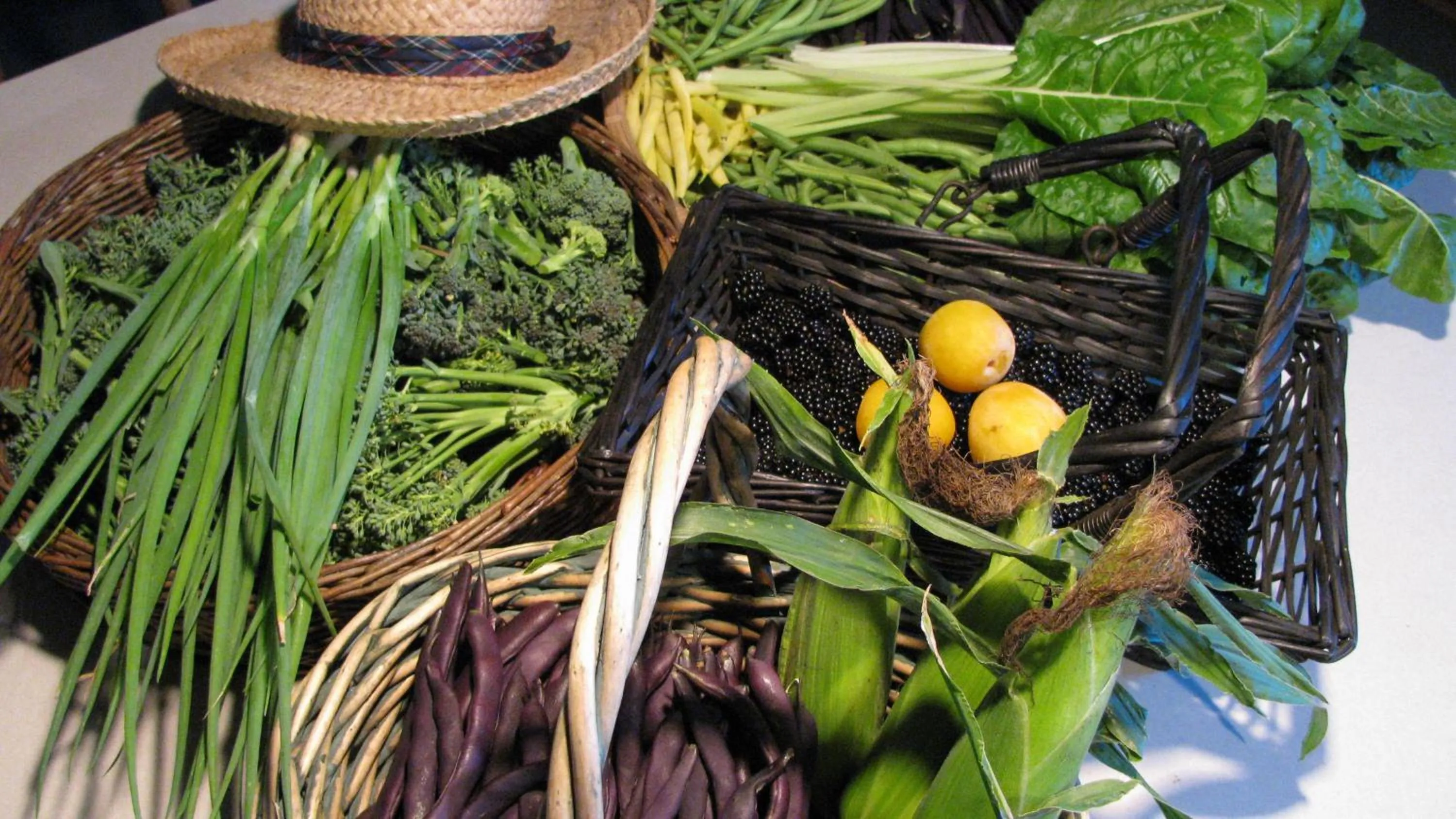 Food close-up in Sasquatch Crossing Eco Lodge B&B