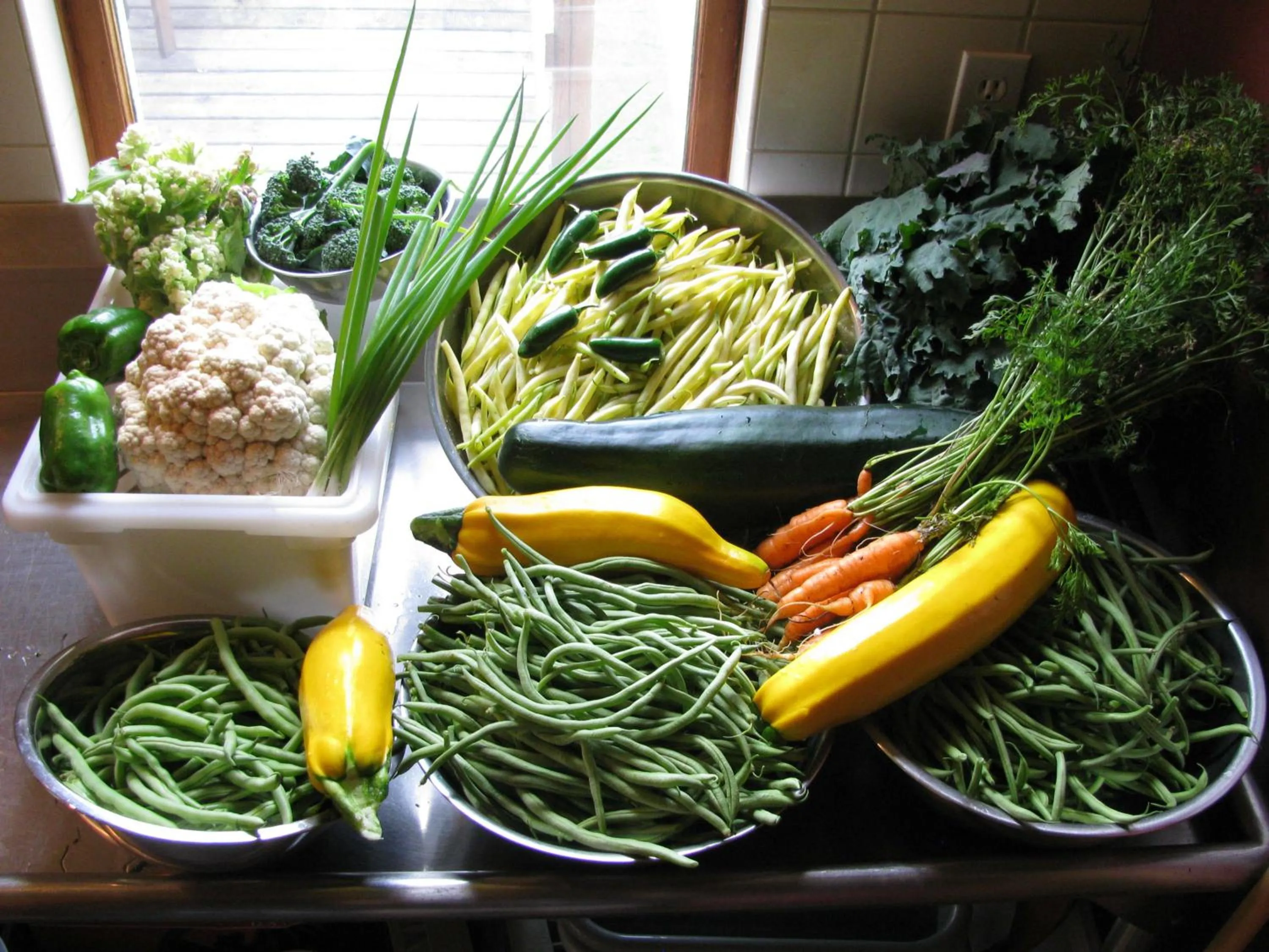 Food in Sasquatch Crossing Eco Lodge B&B