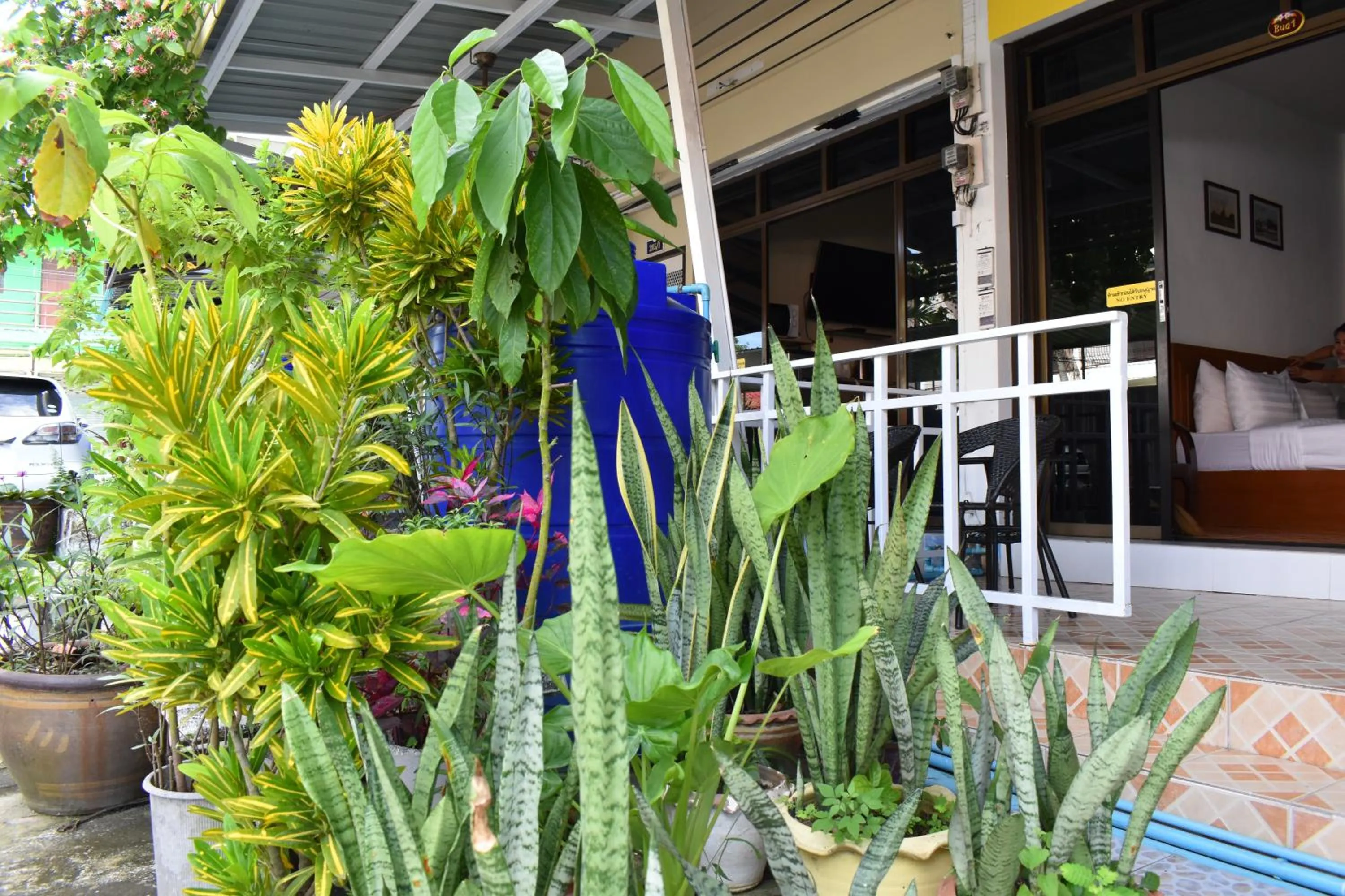 Garden in Sala Bua Room