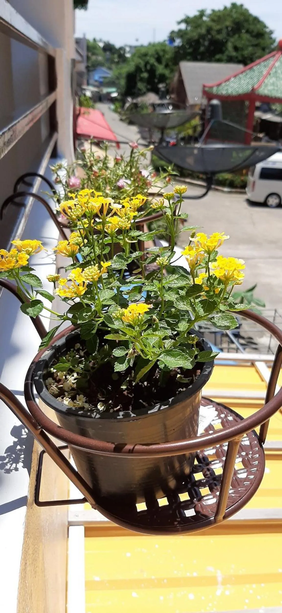 Balcony/Terrace in Sala Bua Room