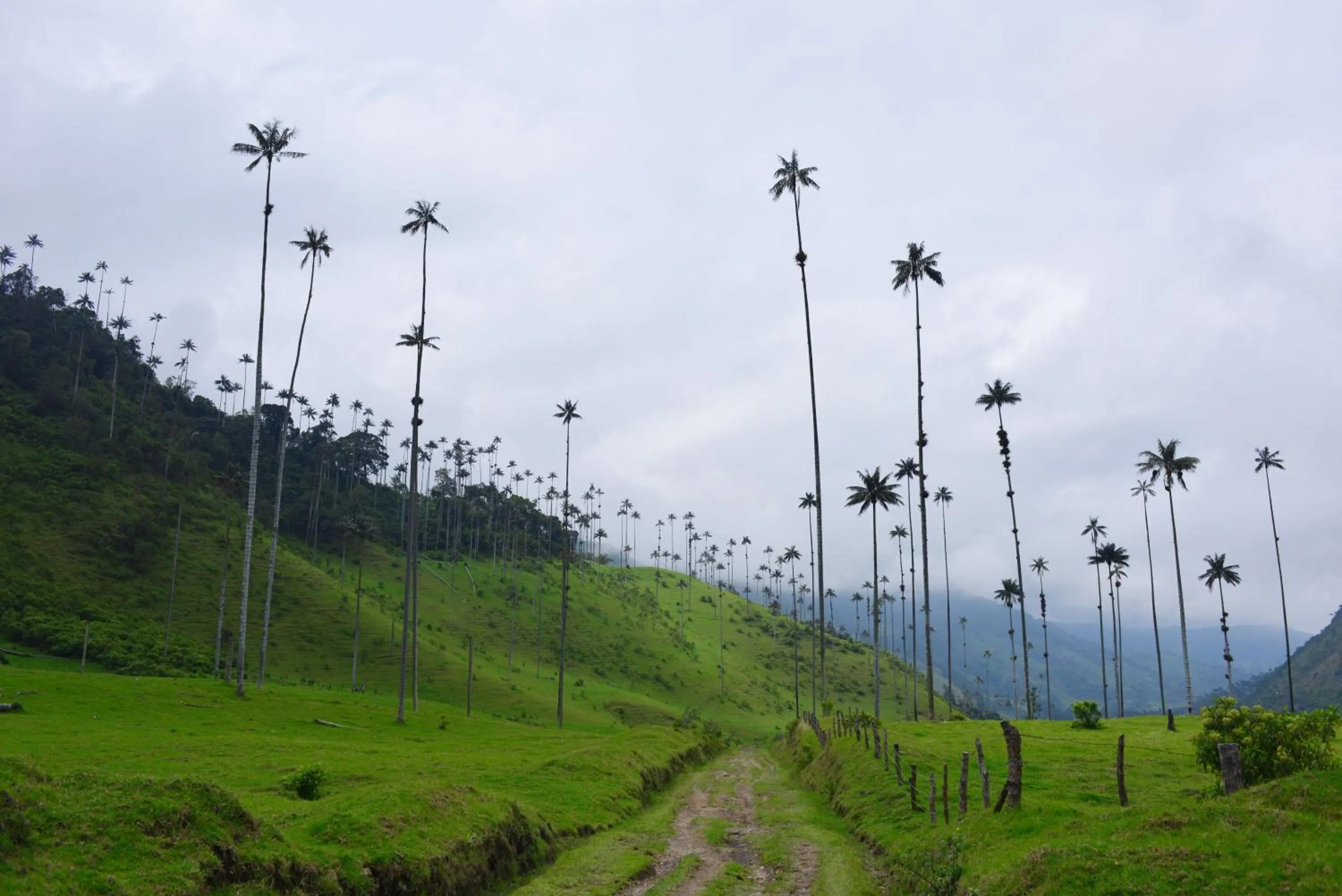 Area and facilities in Hotel El Mirador del Cocora