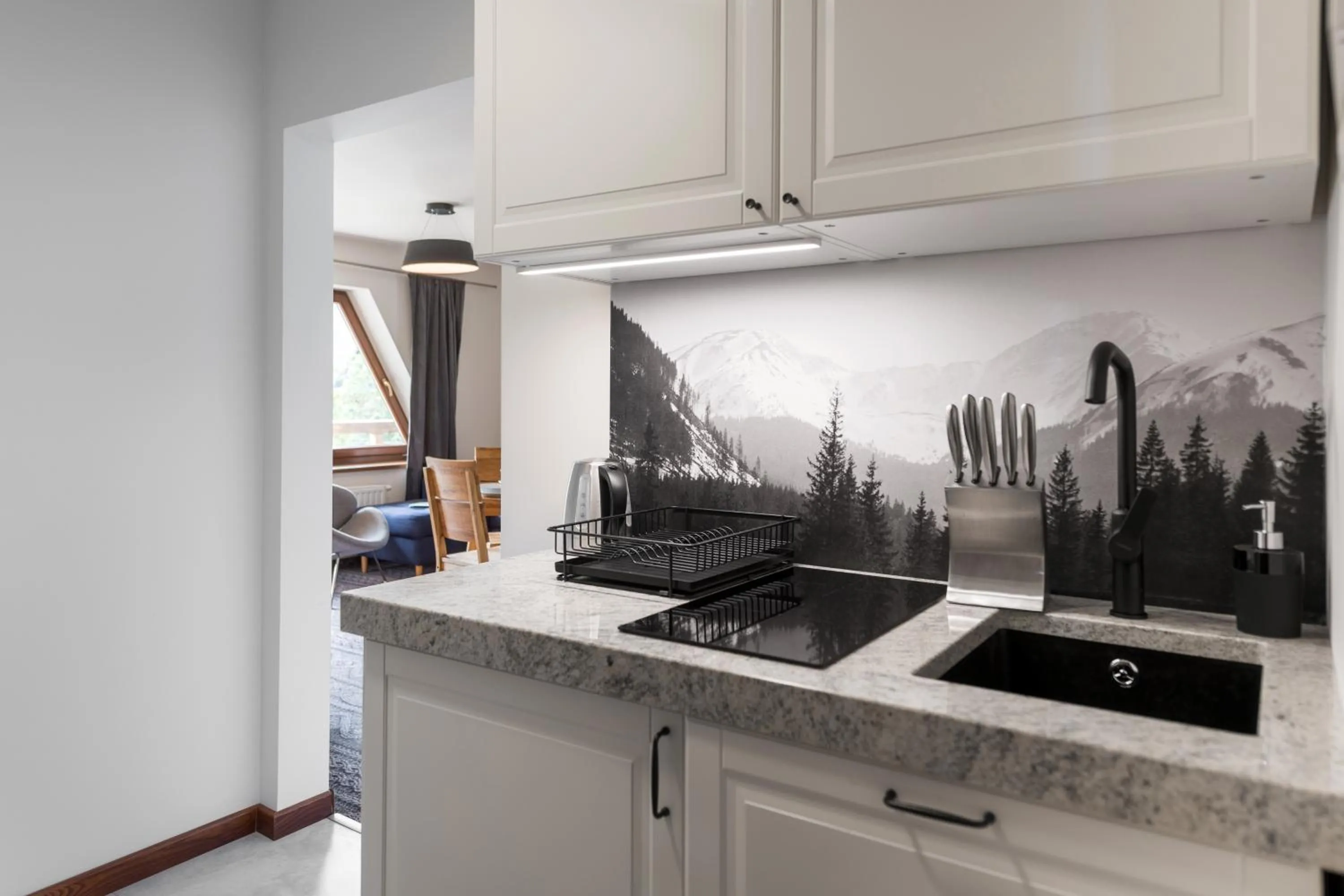 Kitchen or kitchenette in Willa Regle