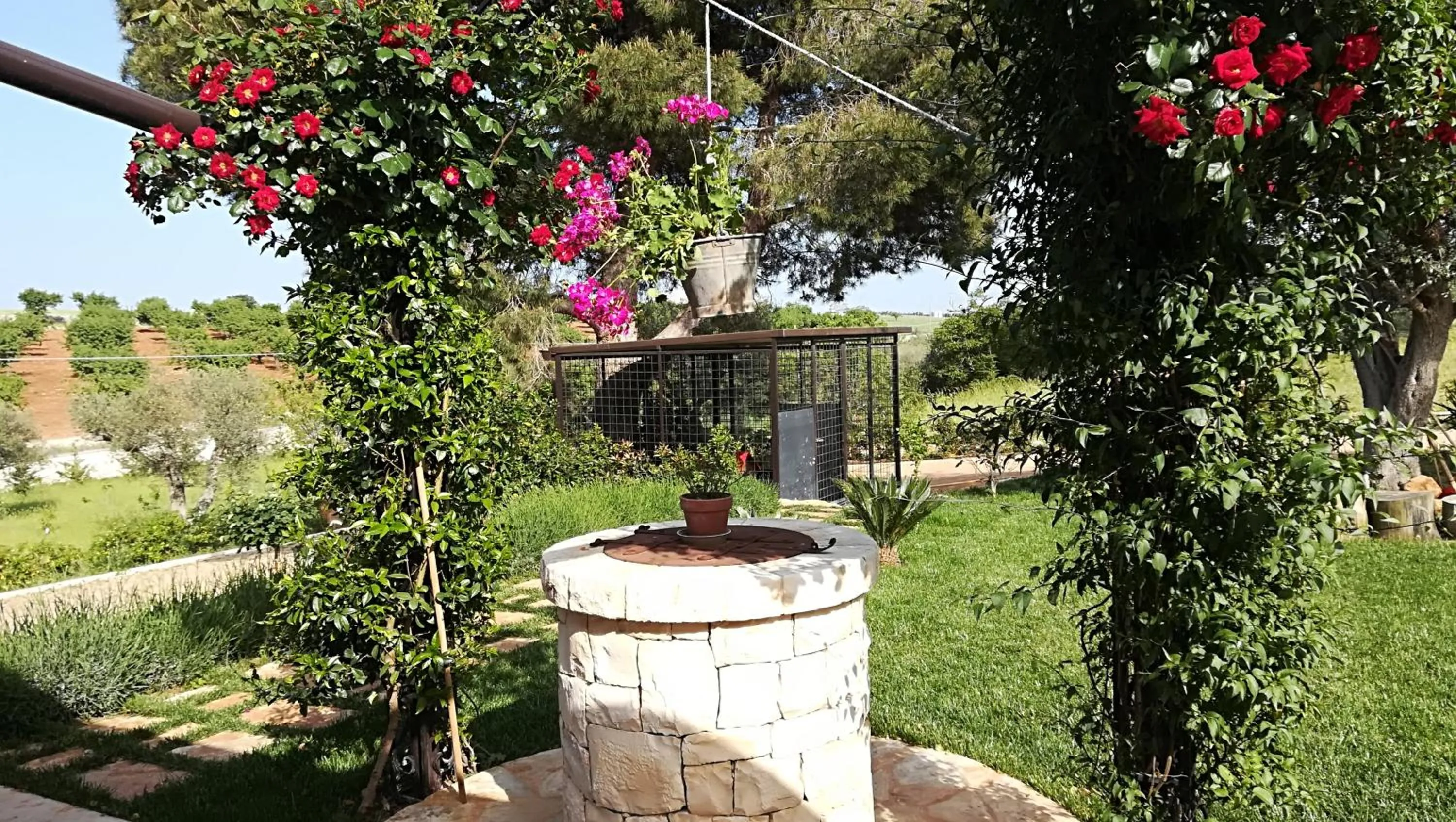 Garden in Eremo del Dottó