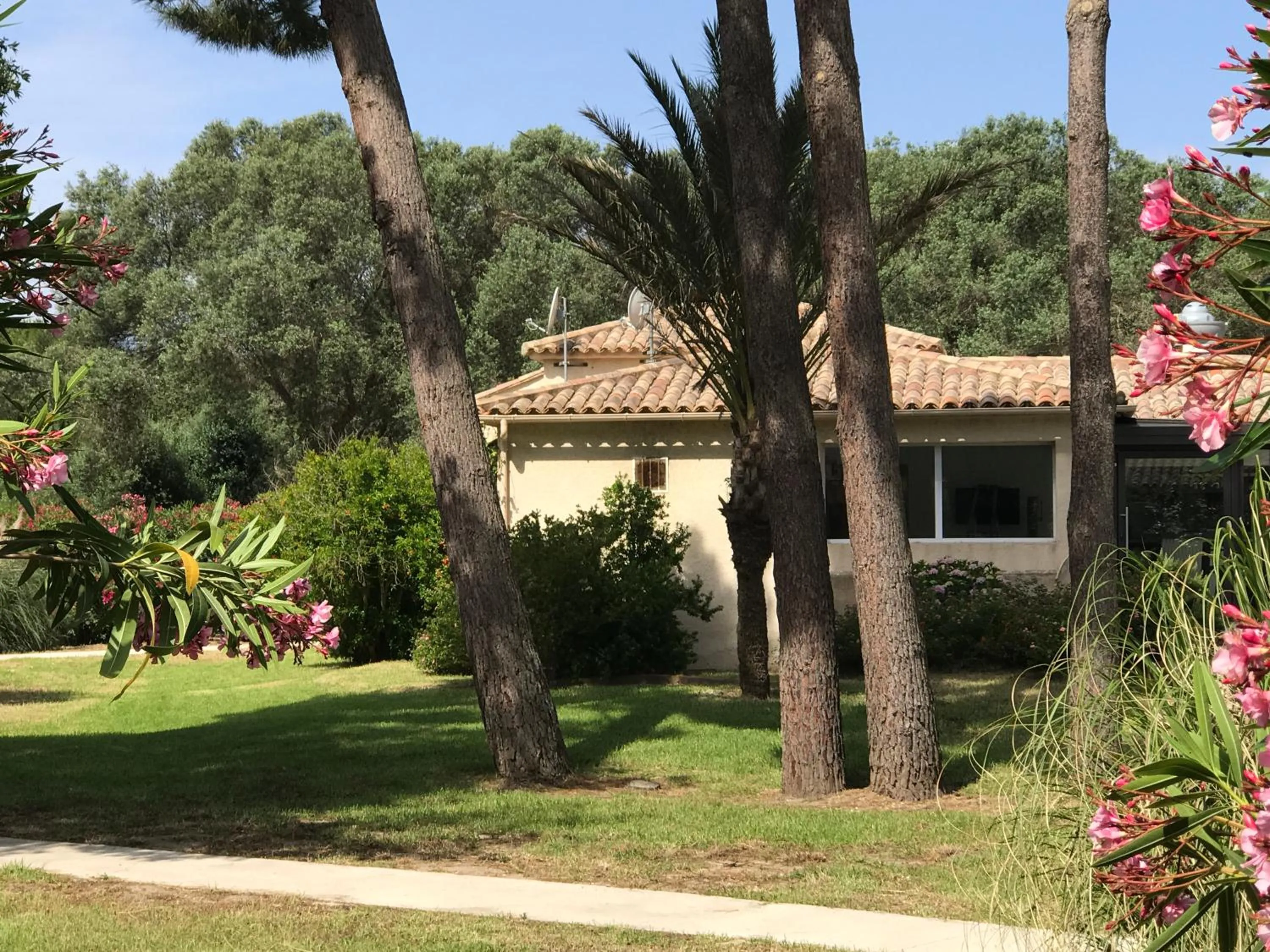 Garden in Prea Gianca