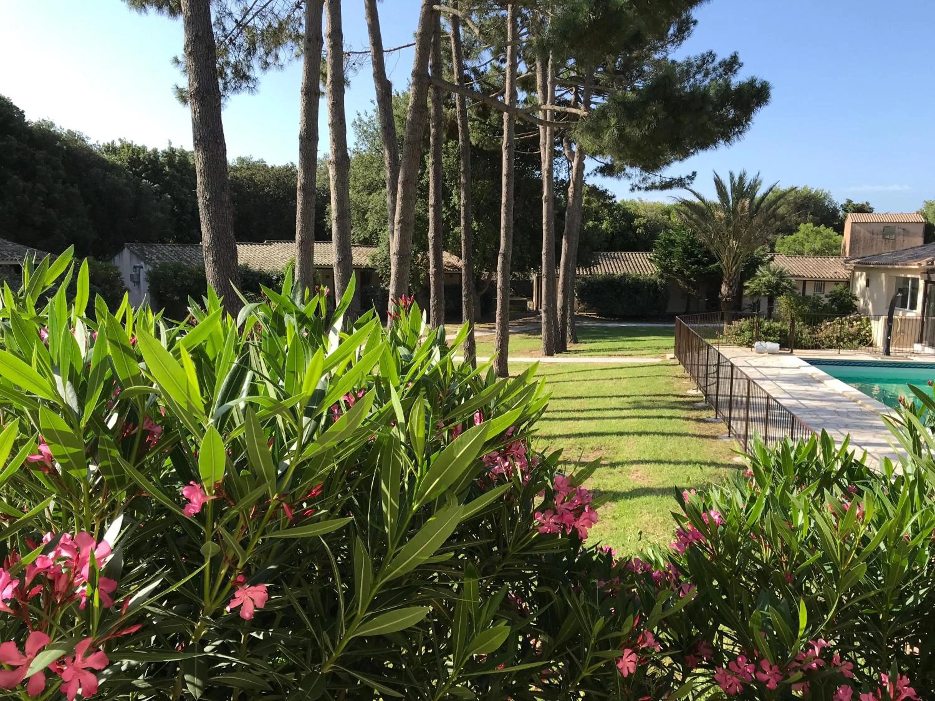 Garden in Prea Gianca