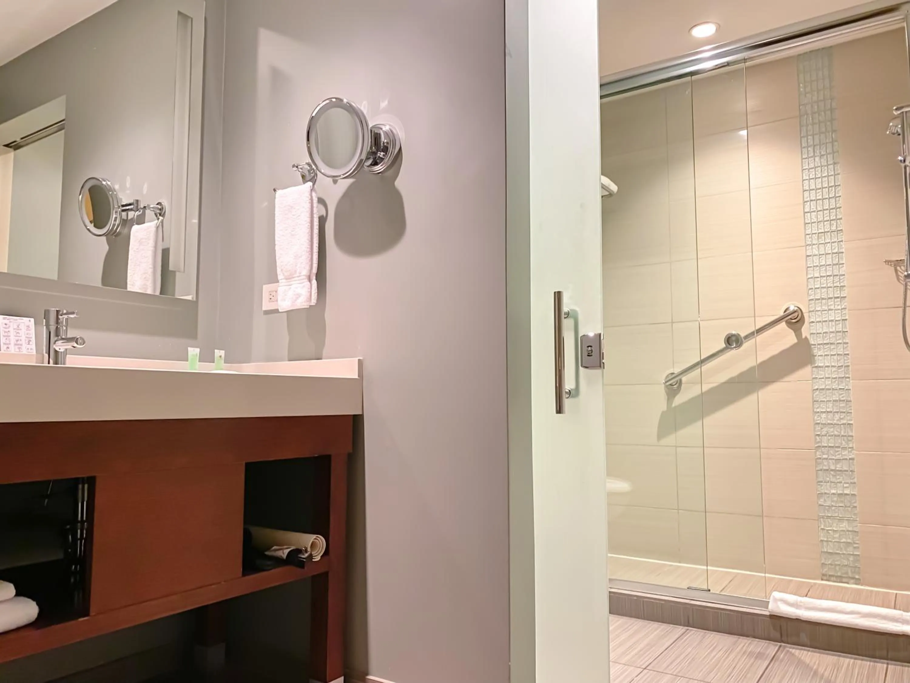 Shower in Hyatt Place San Jose Pinares