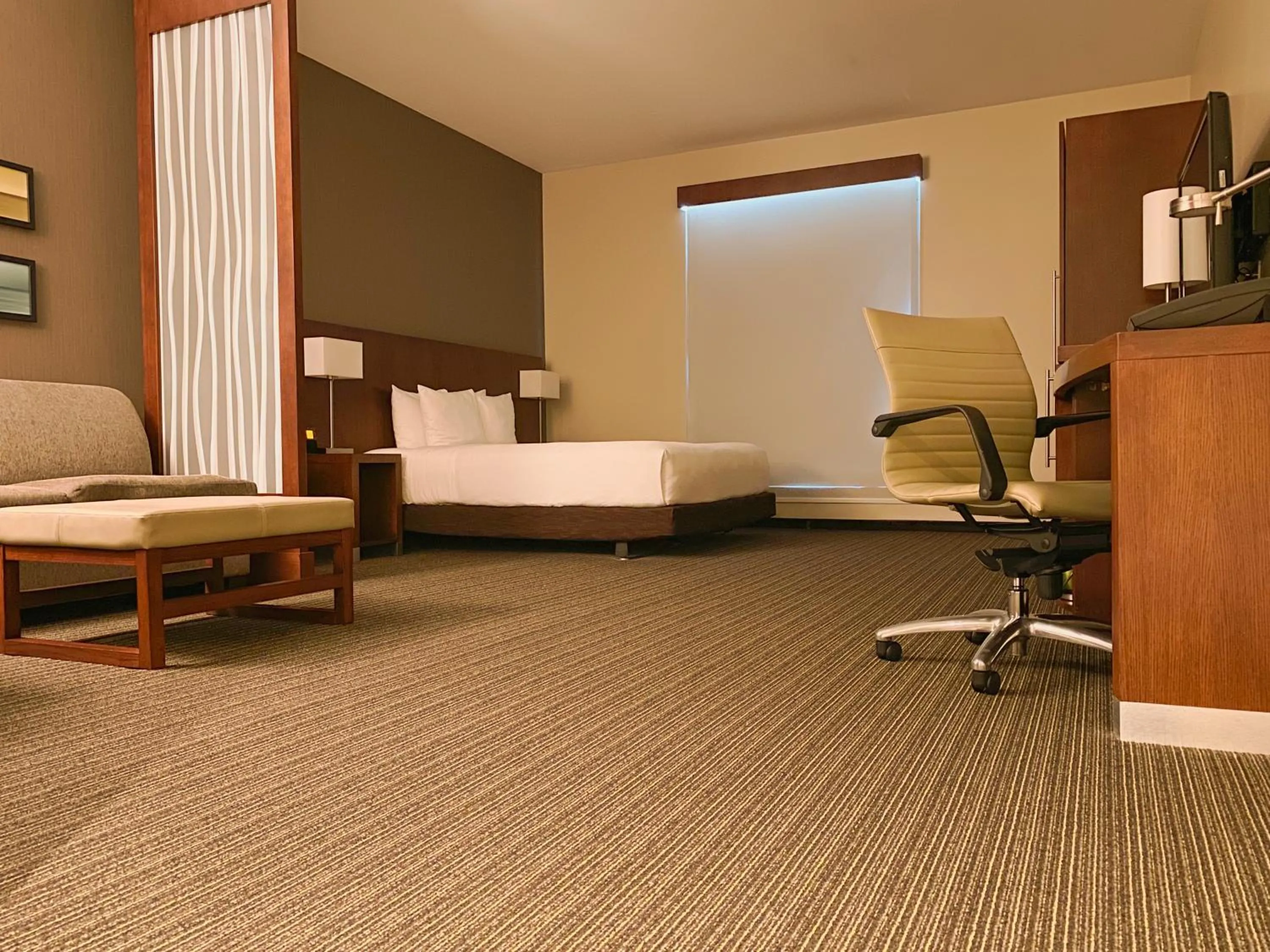 Photo of the whole room, Bed in Hyatt Place San Jose Pinares