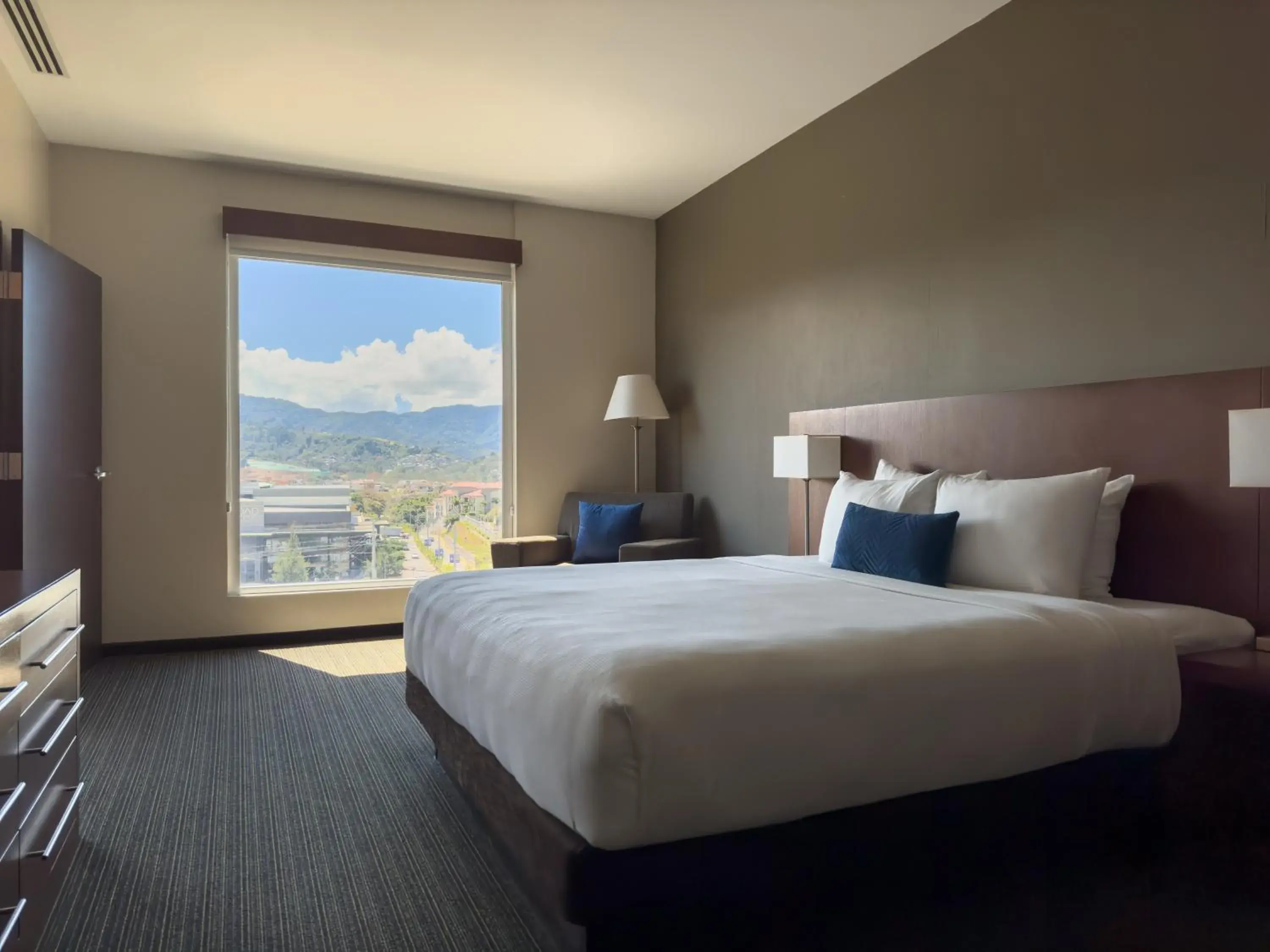 King Room - single occupancy in Hyatt Place San Jose Pinares King Room - single occupancy in Hyatt Place San Jose Pinares