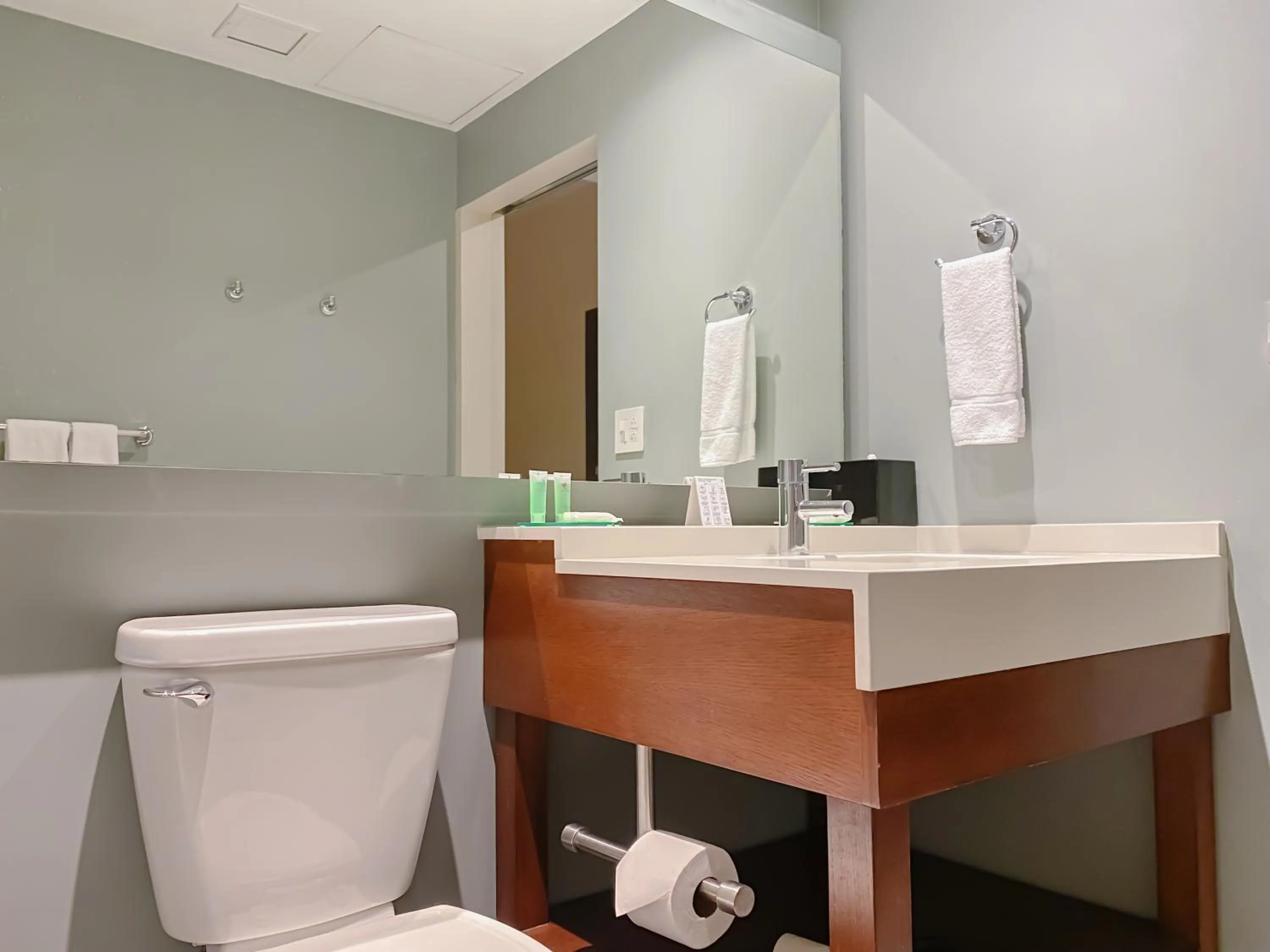 Bathroom in Hyatt Place San Jose Pinares