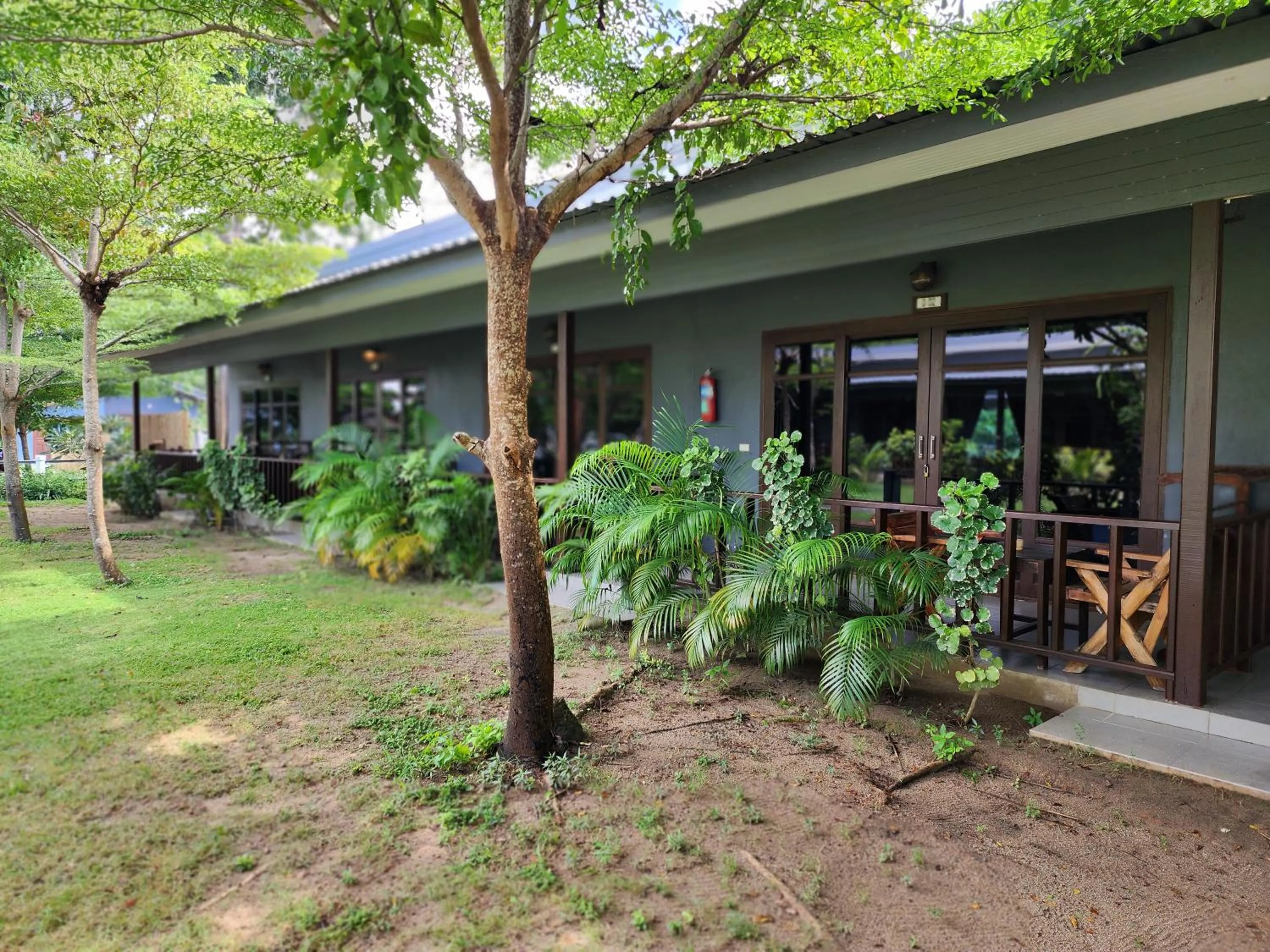 Tiki Beach Koh Phangan Beach Restaurant Bar and Coworking