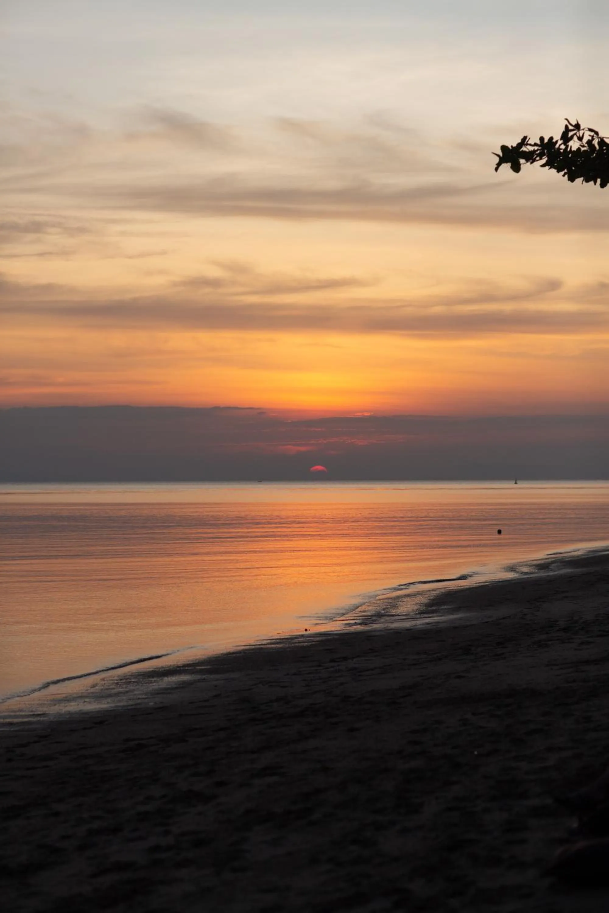 Natural landscape in Tiki Beach Koh Phangan Beach Restaurant Bar and Coworking