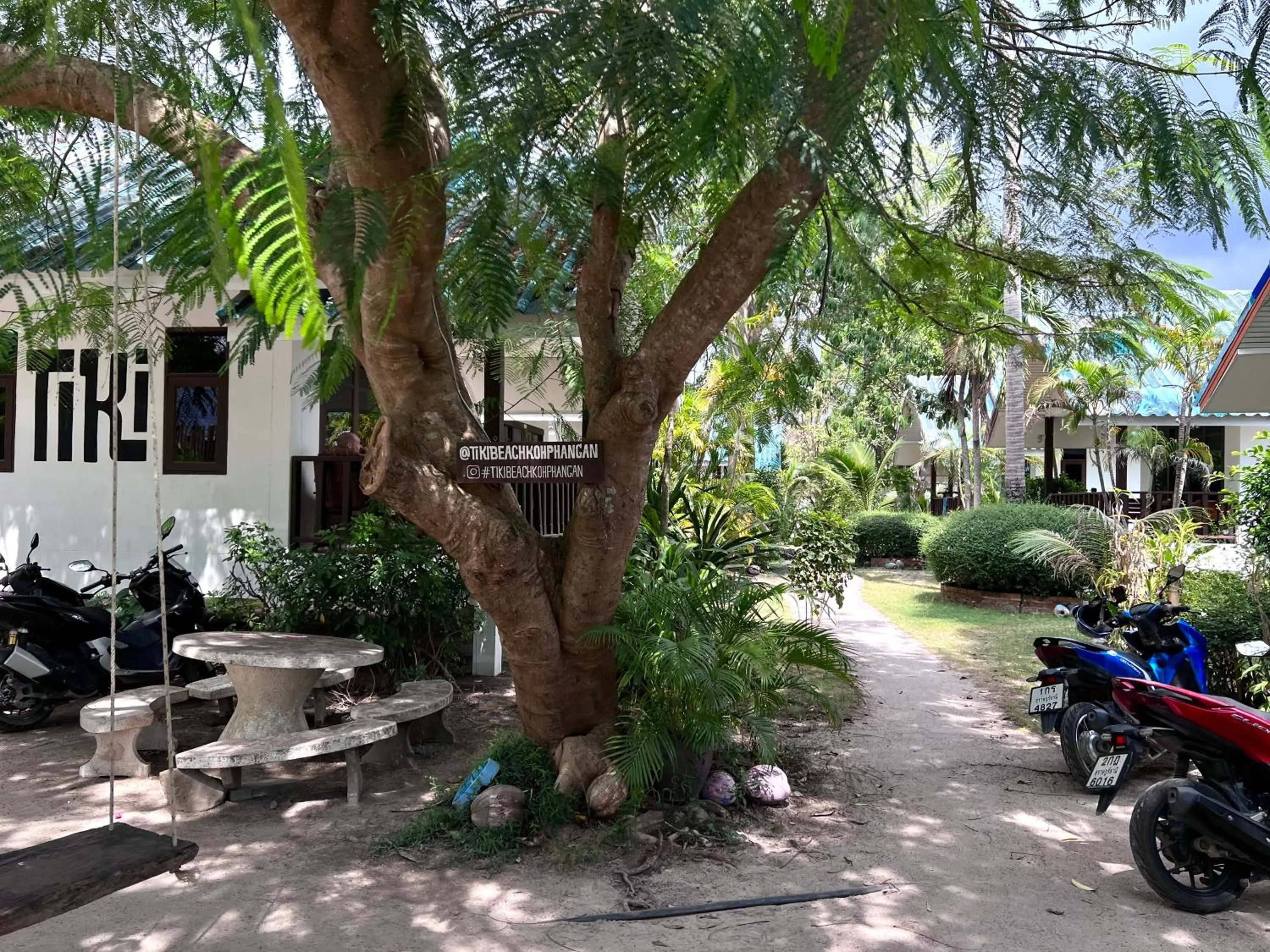 Tiki Beach Koh Phangan Beach Restaurant Bar and Coworking