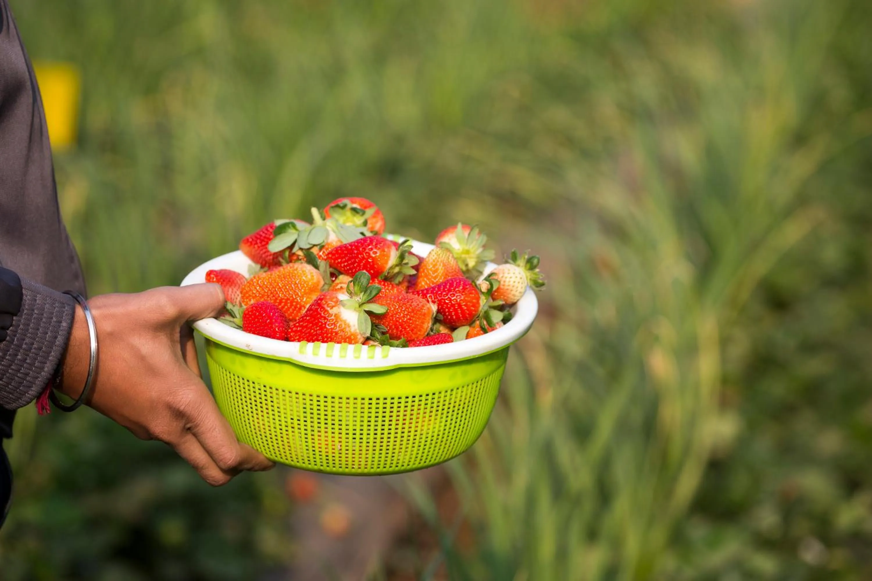 Shivsagar Resort & Spa