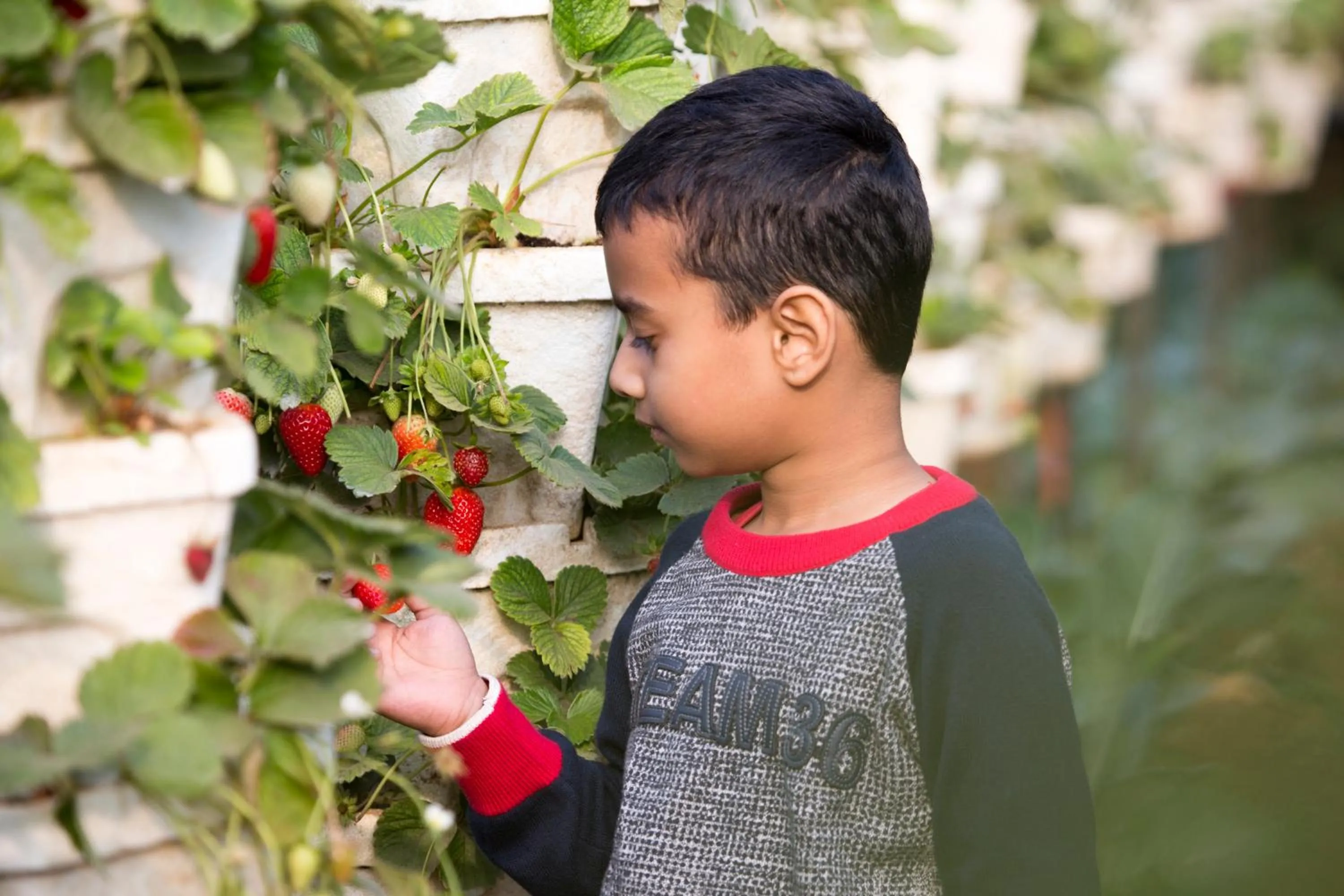 Shivsagar Resort & Spa