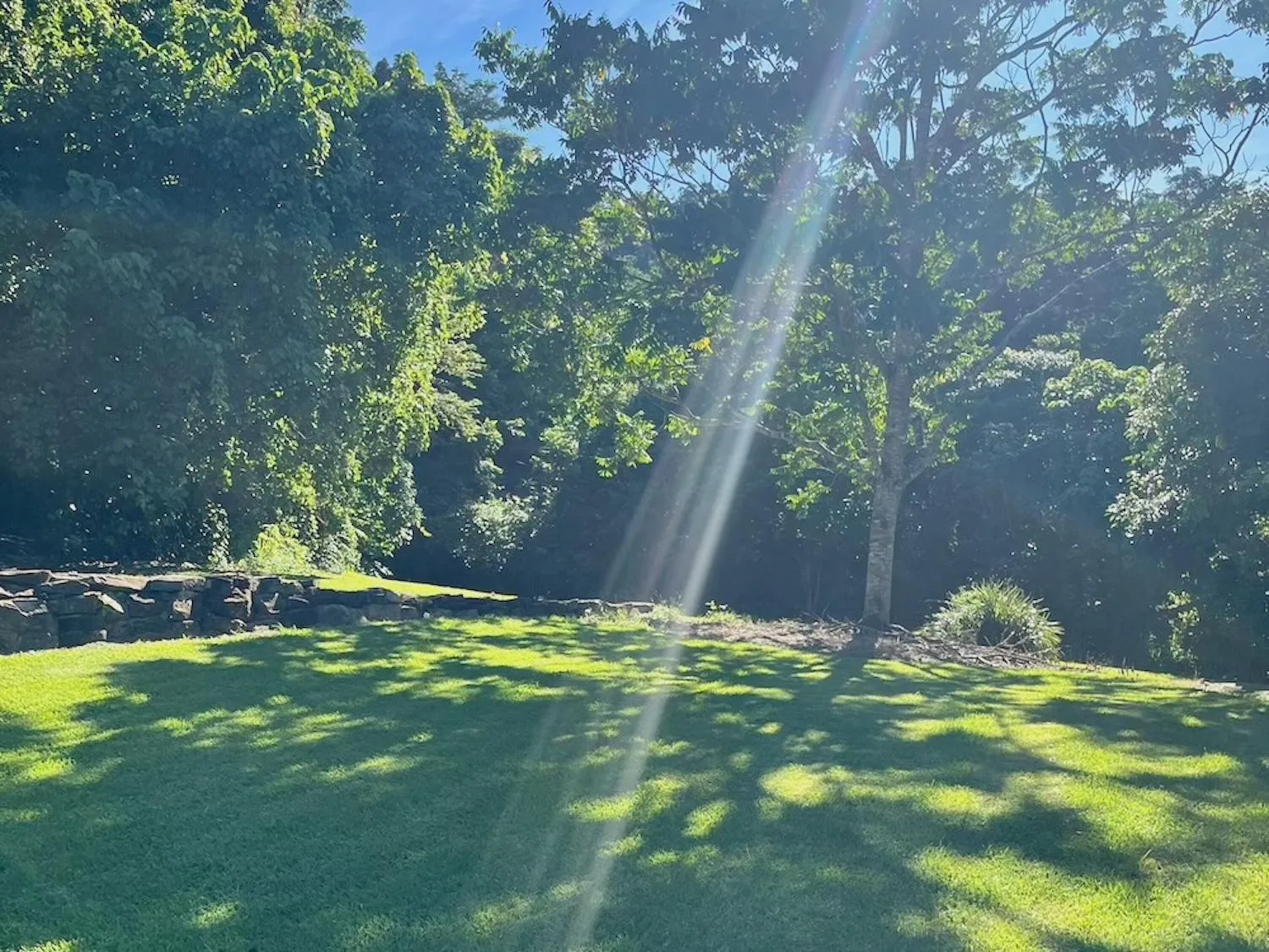 View (from property/room) in Seclude Rainforest Retreat