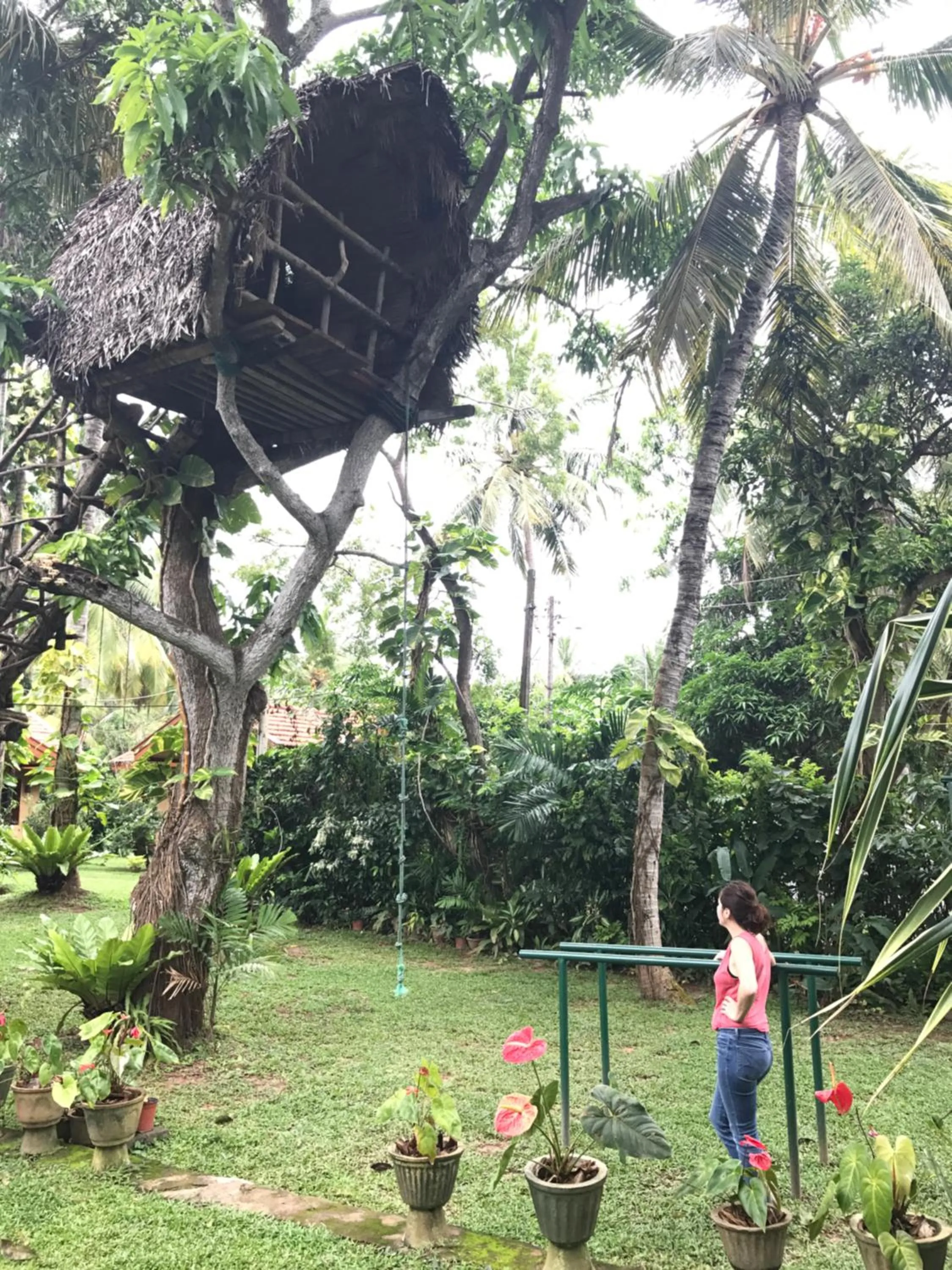 Activities in Villa Shade