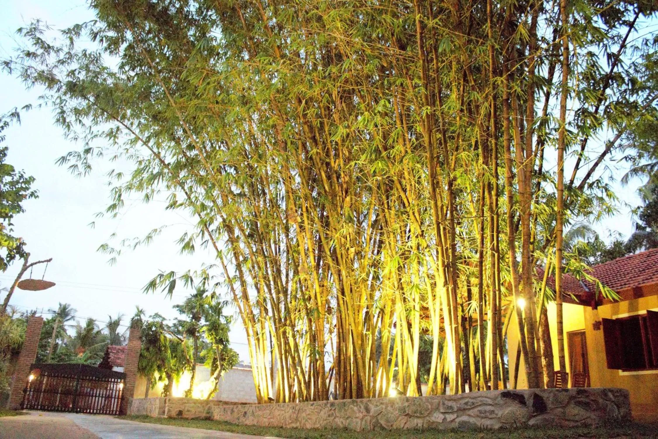 Natural landscape in Villa Shade