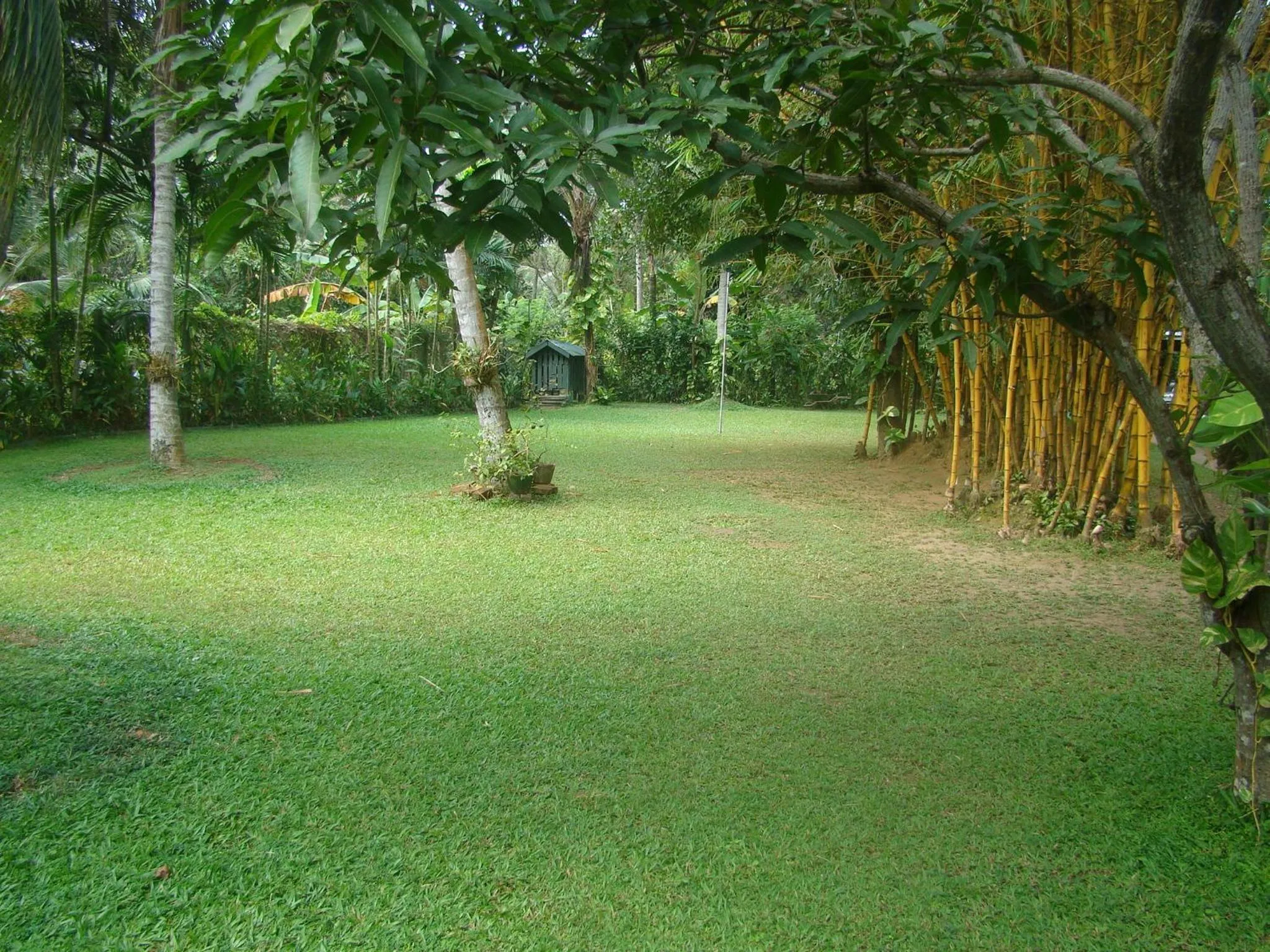 Natural landscape in Villa Shade