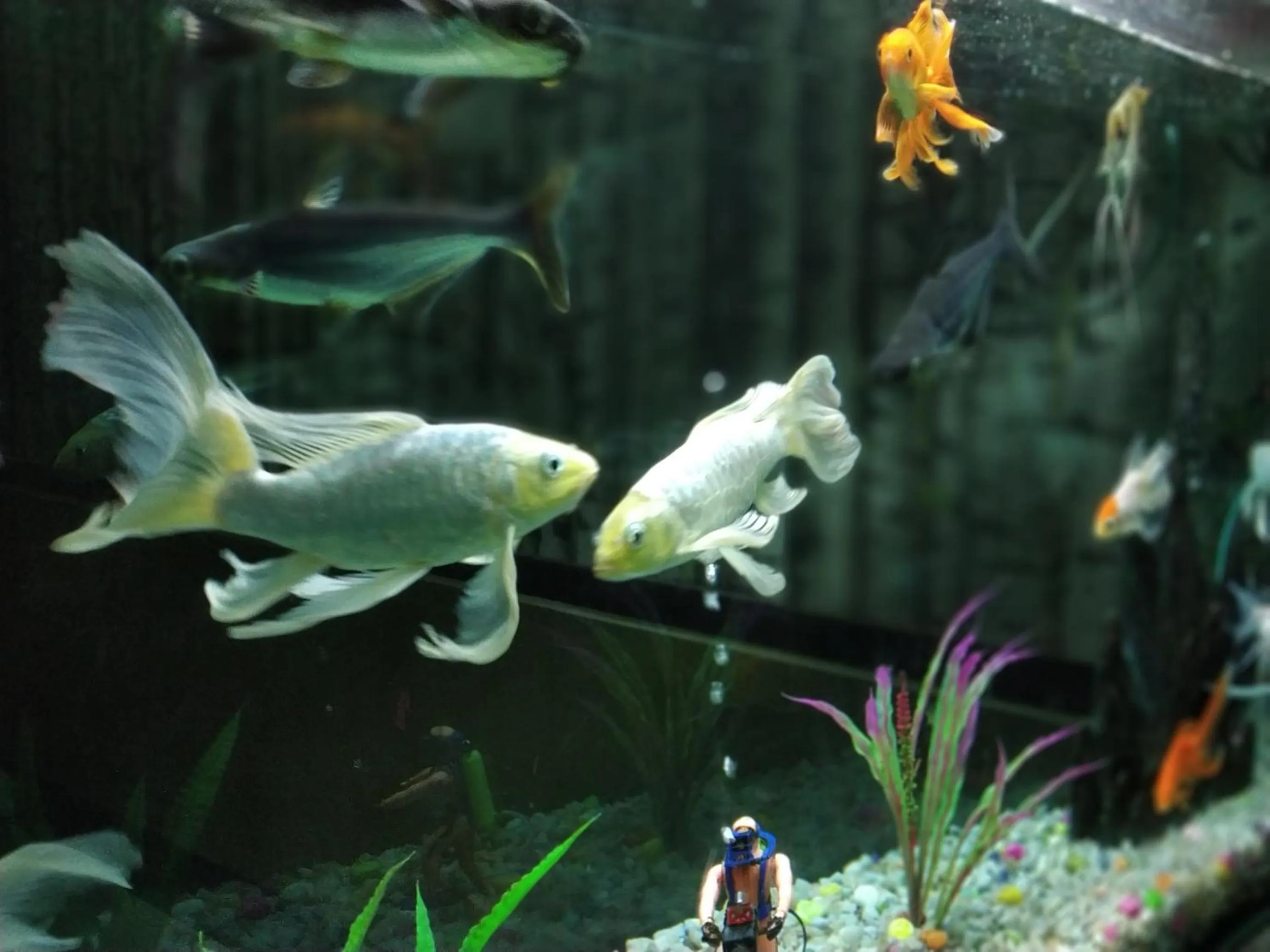 Other in Hotel Executive Tower