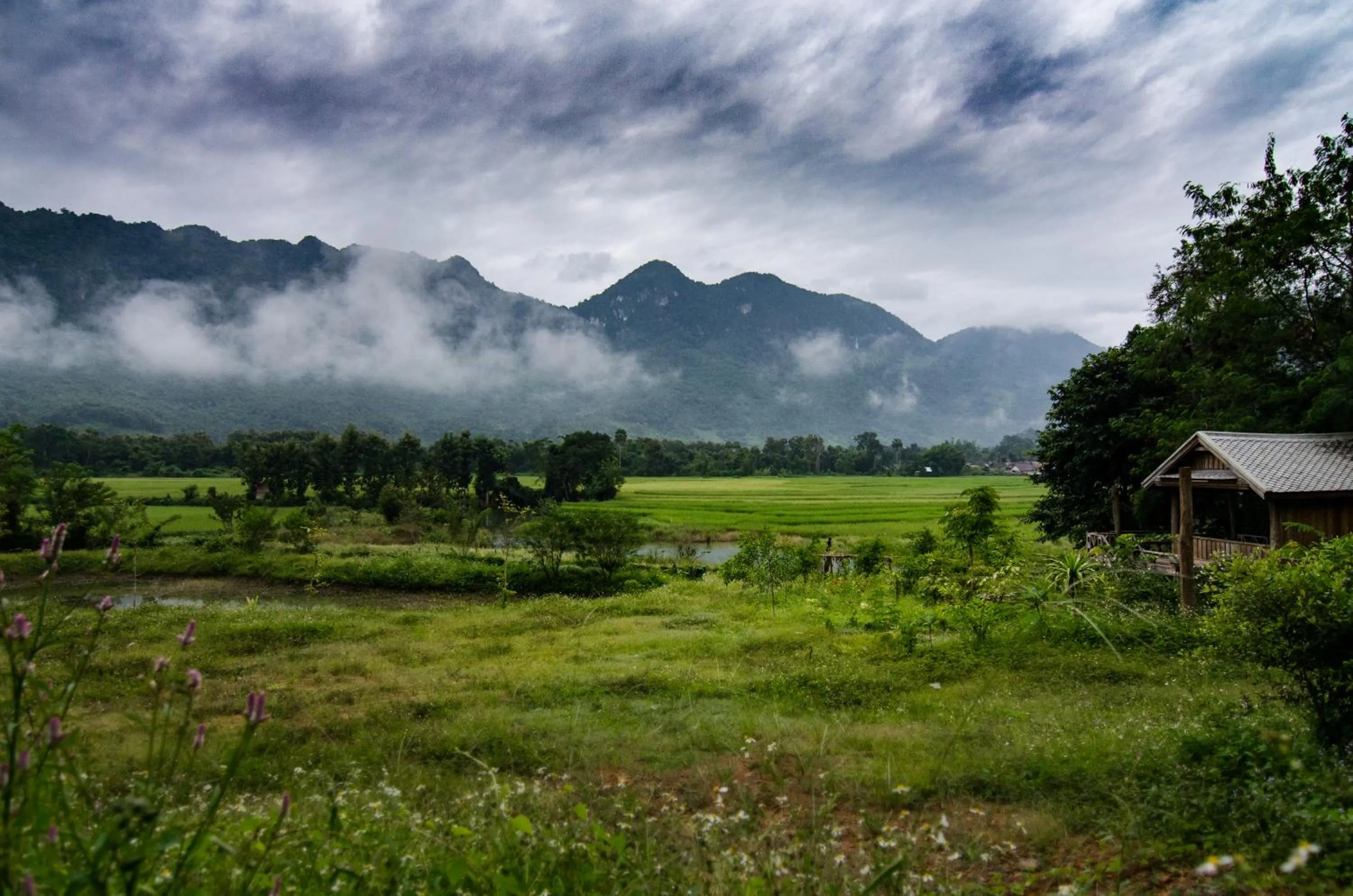 Off site in Hillside - Nature Lifestyle Lodge