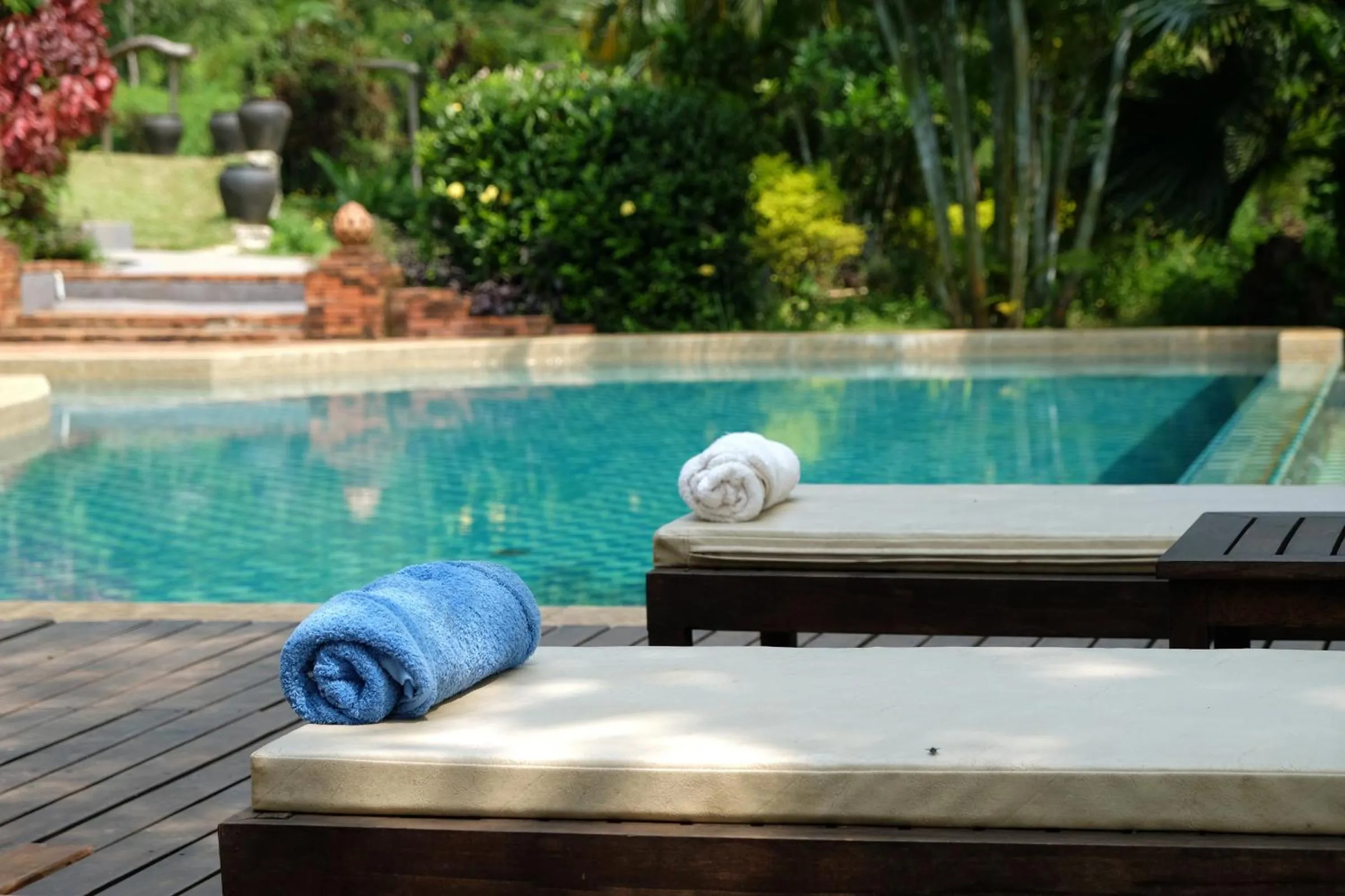 Swimming pool in Hillside - Nature Lifestyle Lodge