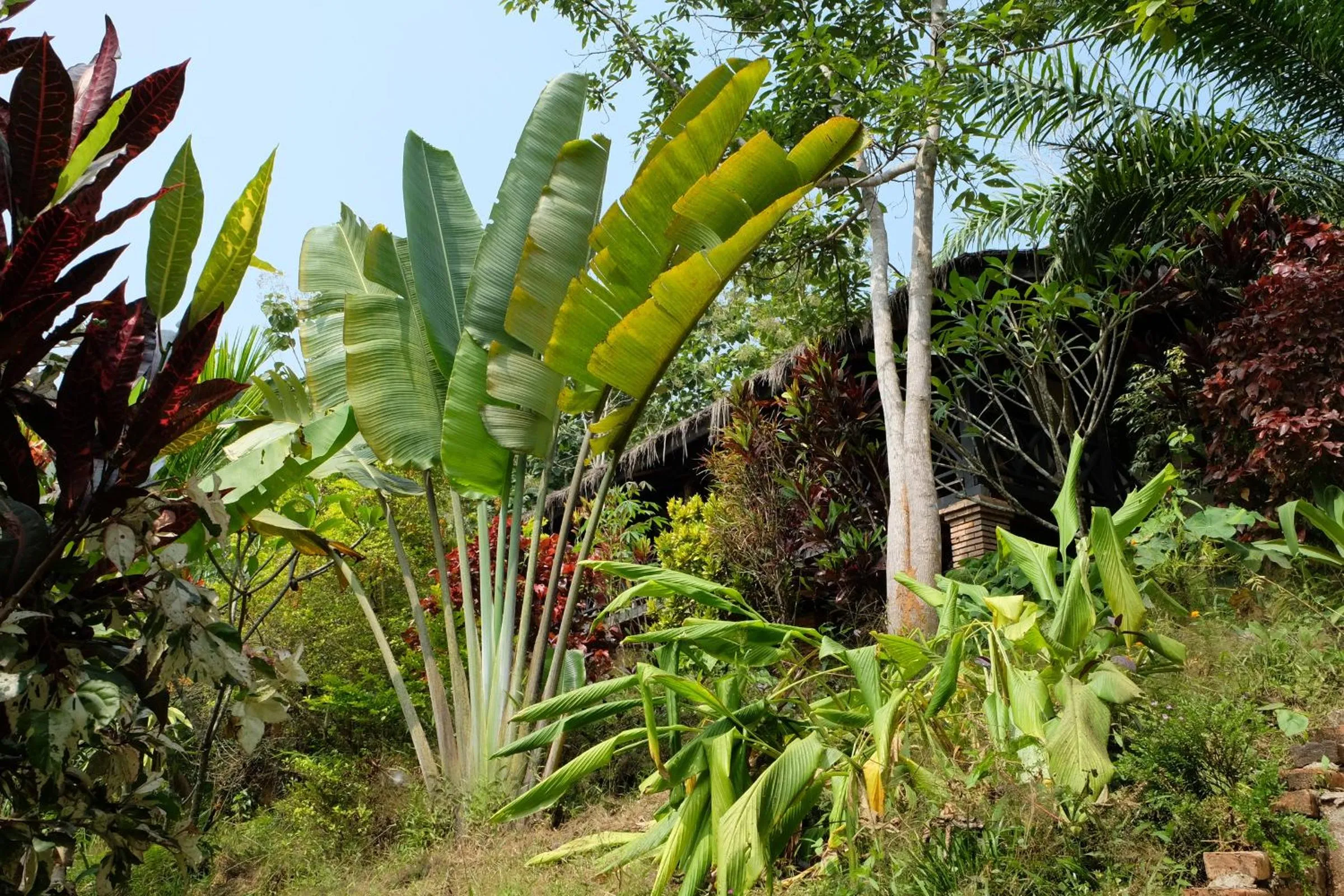 Facade/entrance in Hillside - Nature Lifestyle Lodge