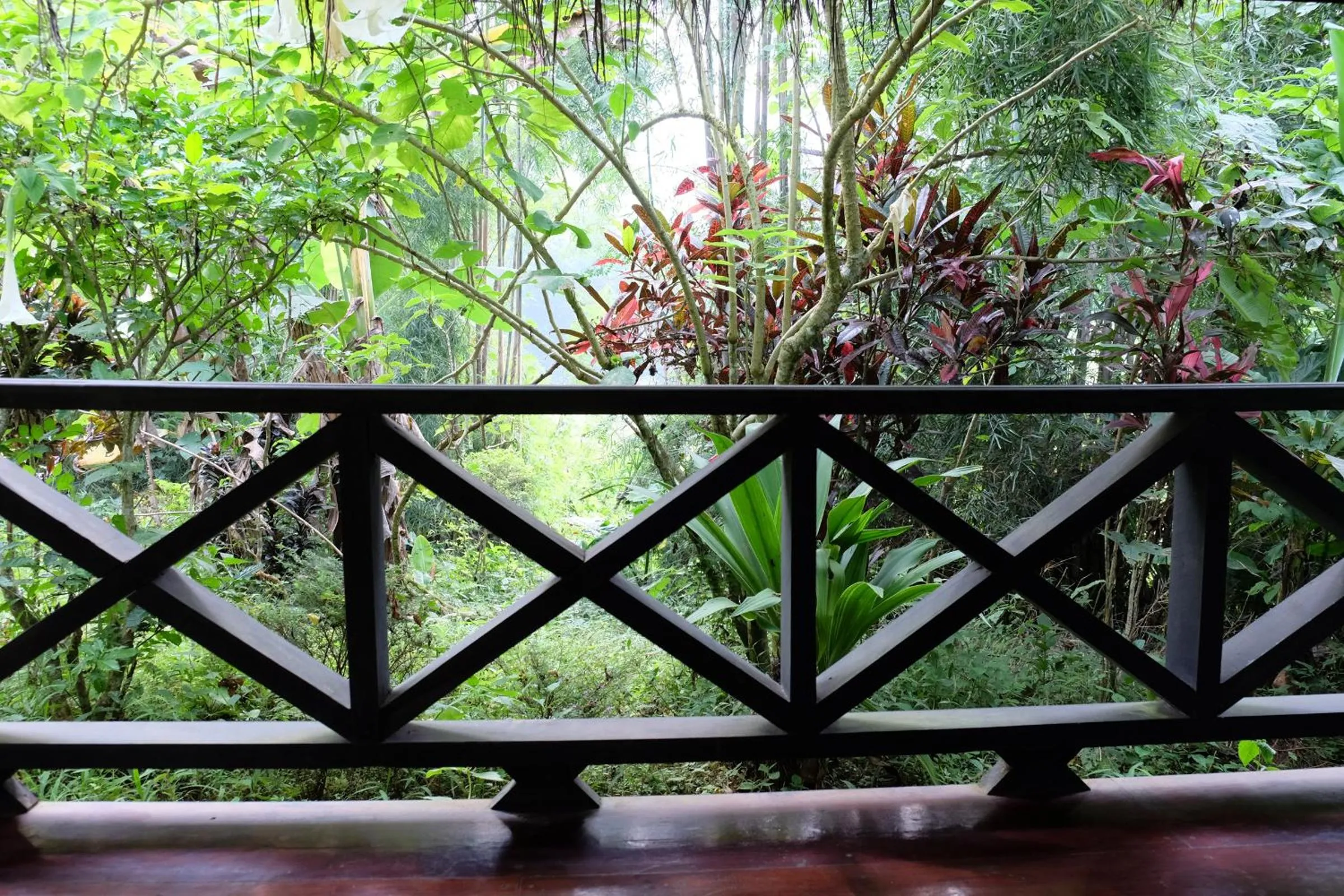 Balcony/Terrace in Hillside - Nature Lifestyle Lodge