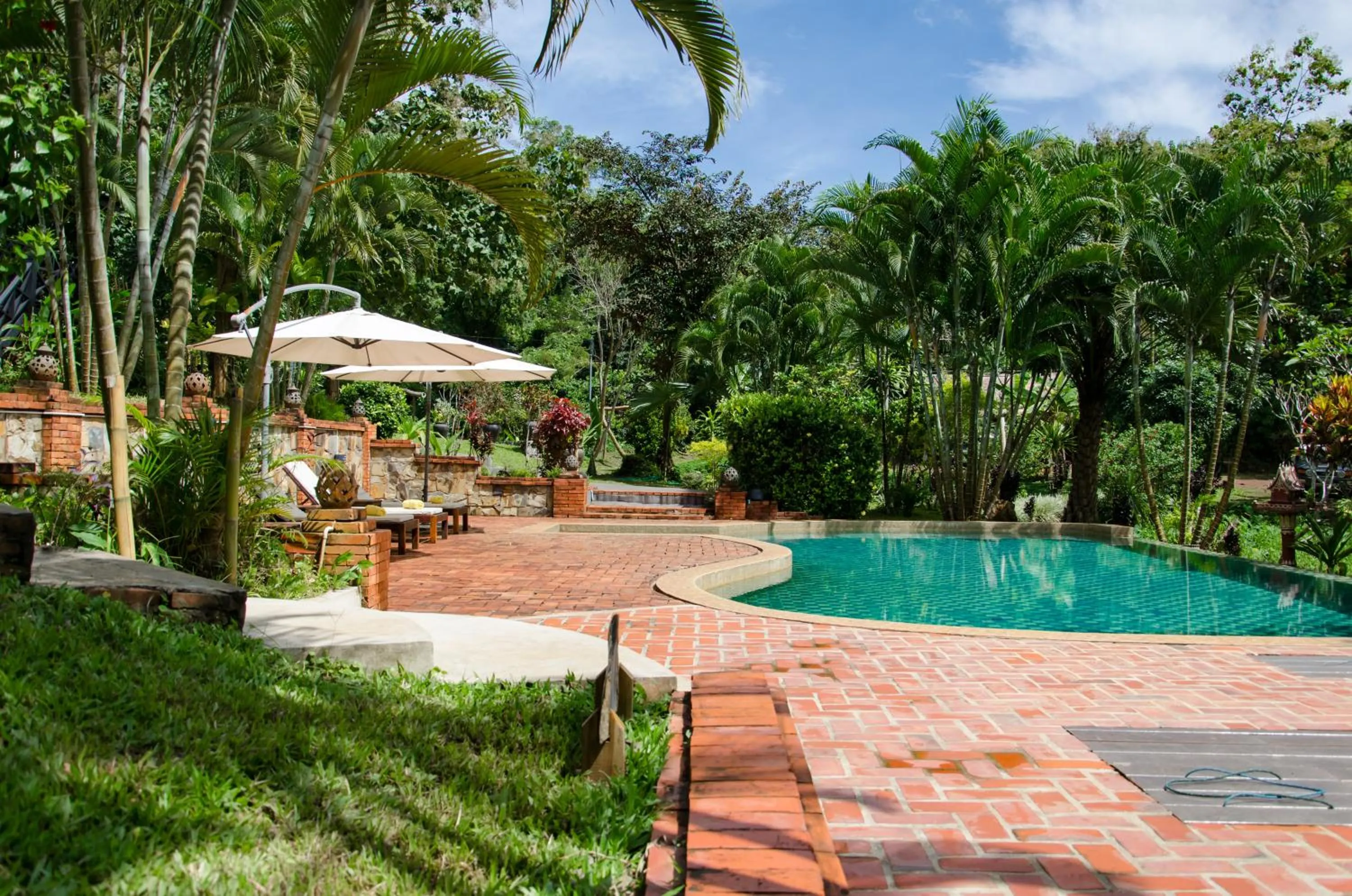 Swimming pool in Hillside - Nature Lifestyle Lodge