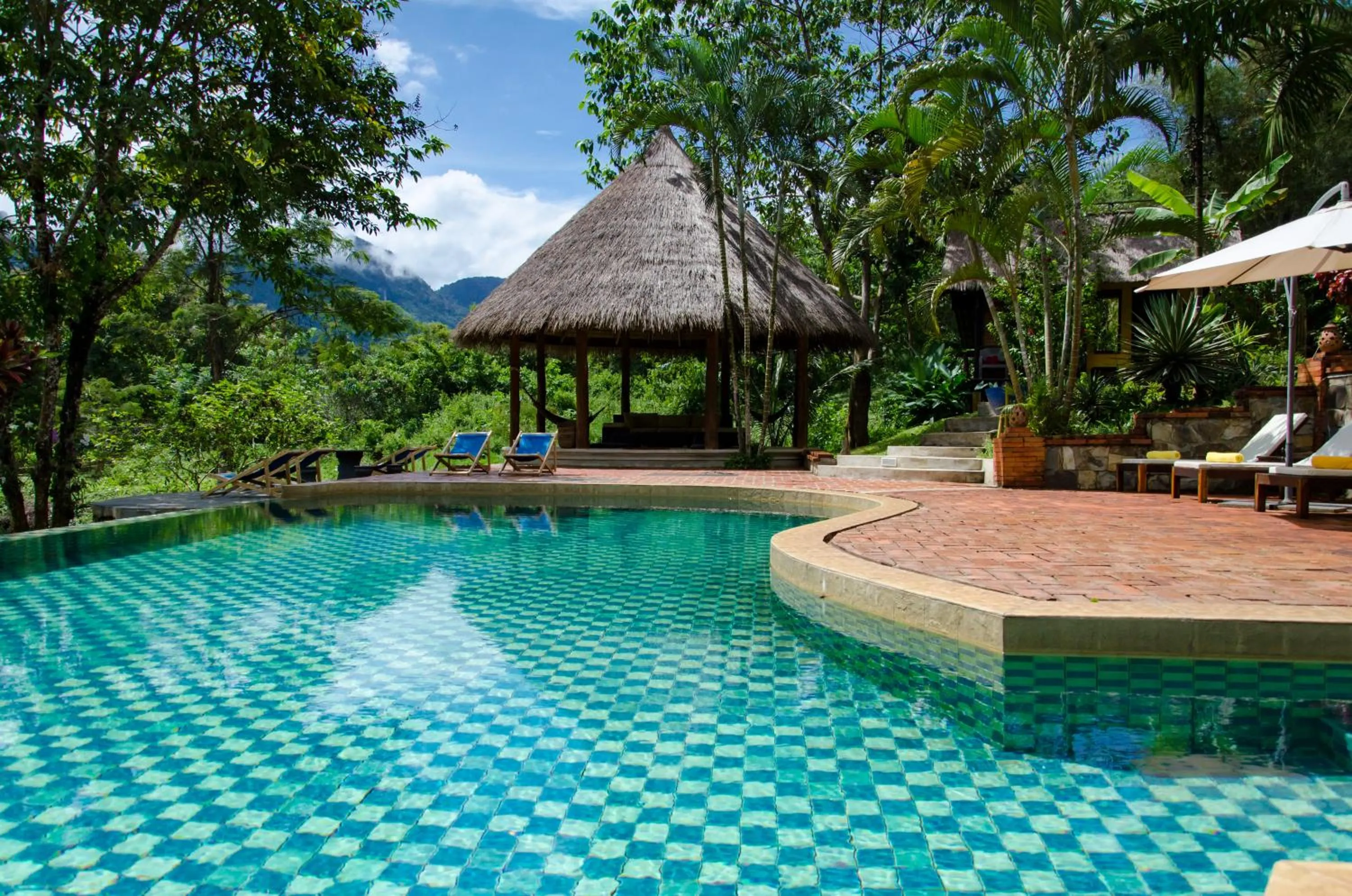 Swimming pool in Hillside - Nature Lifestyle Lodge