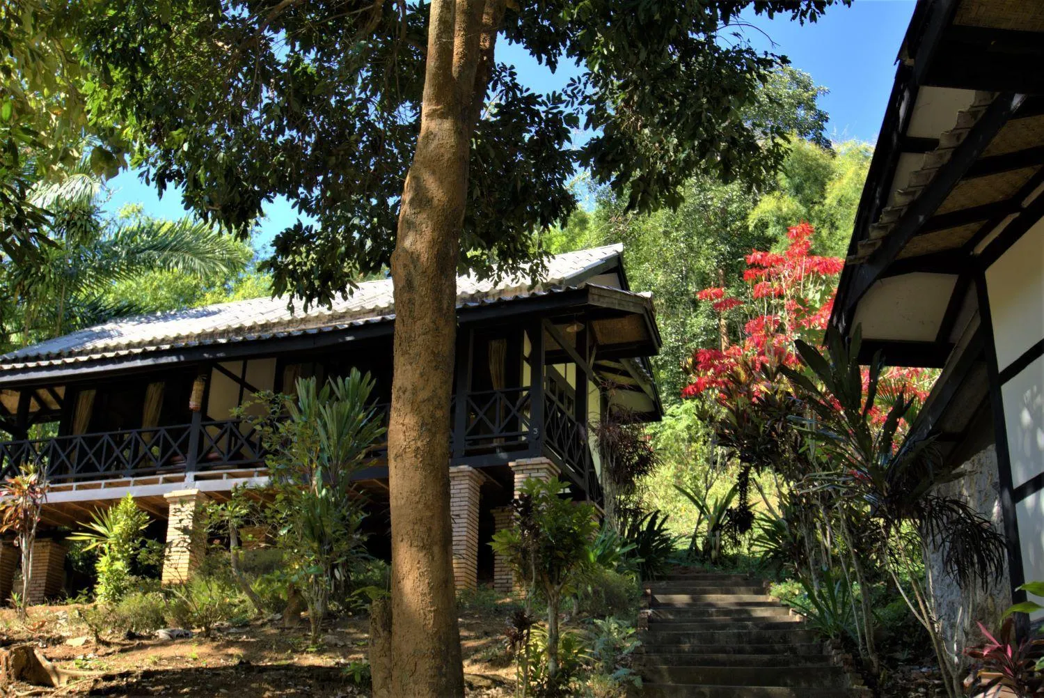 Property building in Hillside - Nature Lifestyle Lodge