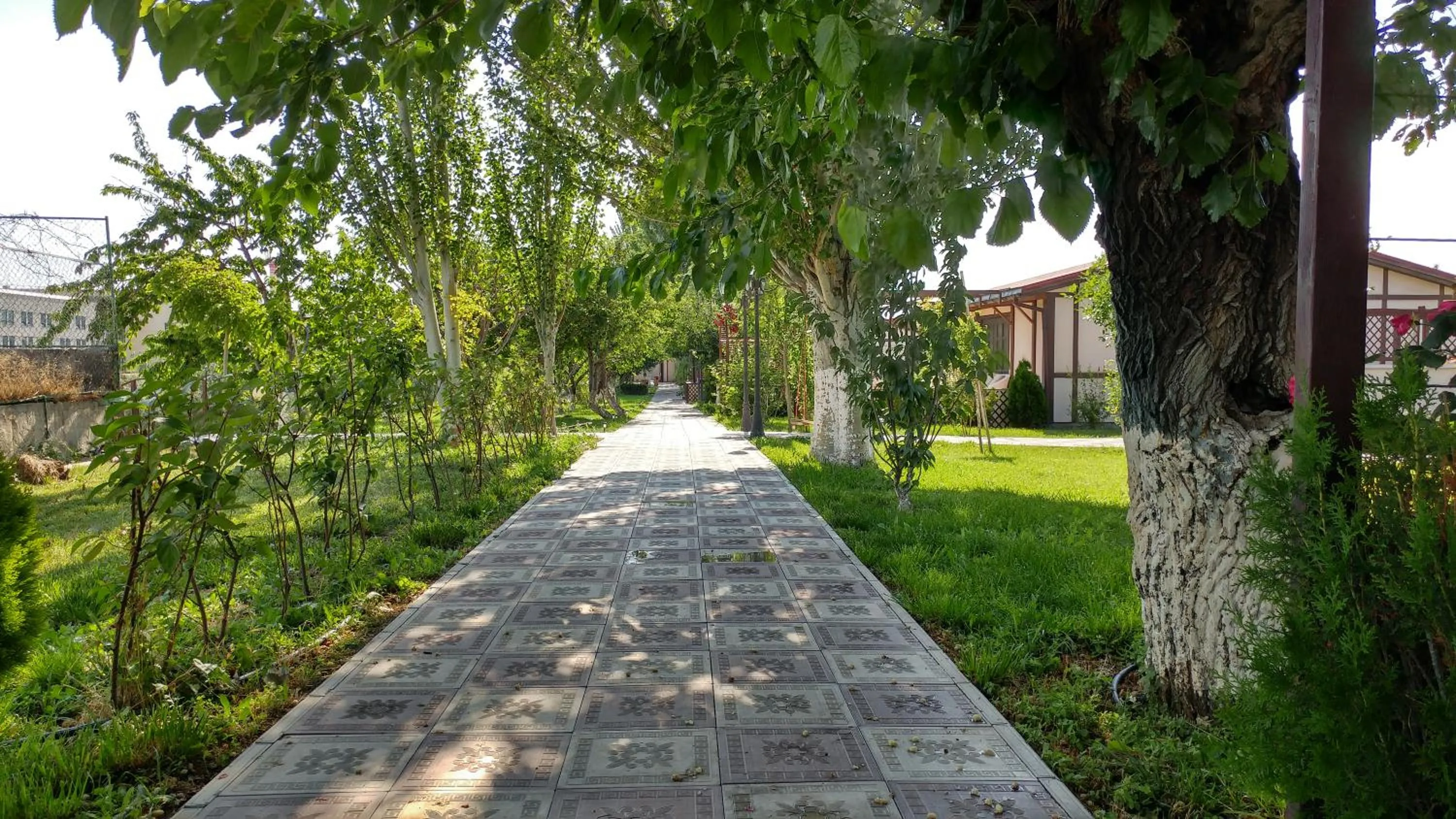 Garden in Cross Resort Hotel