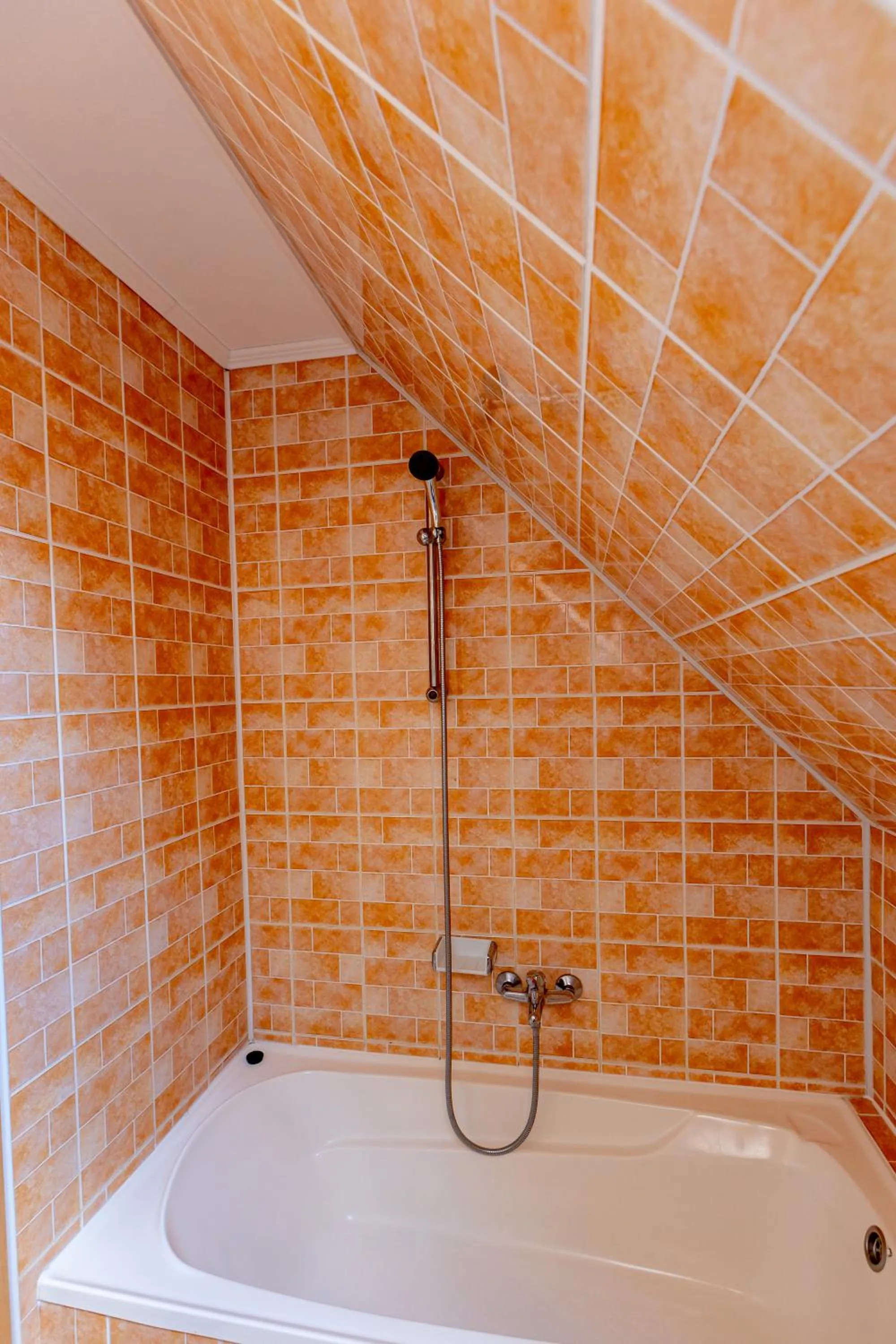 Shower in Pensiunea Joker