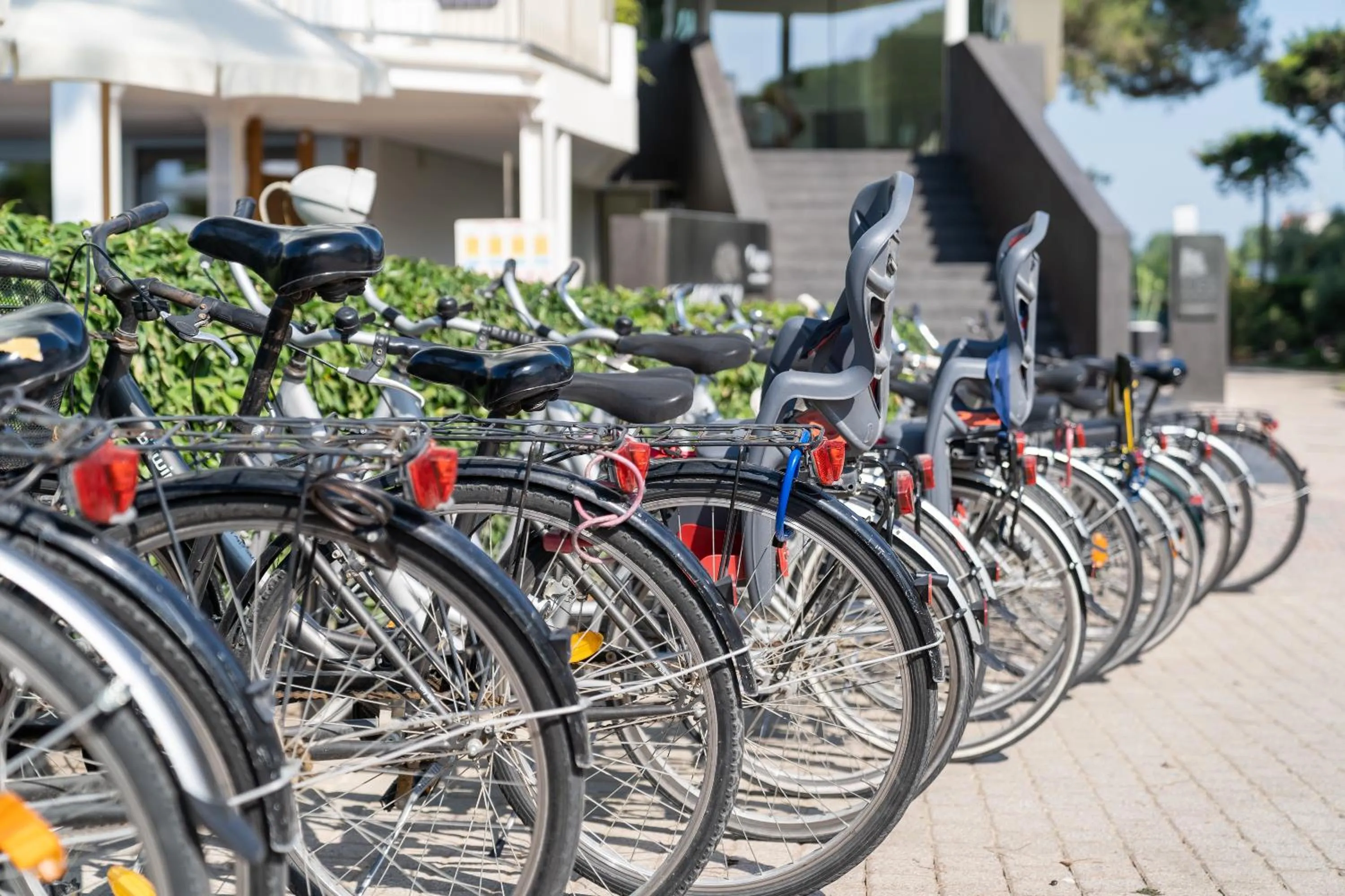 Garden in Hotel Garden Sea Wellness & Spa 4 stelle superior