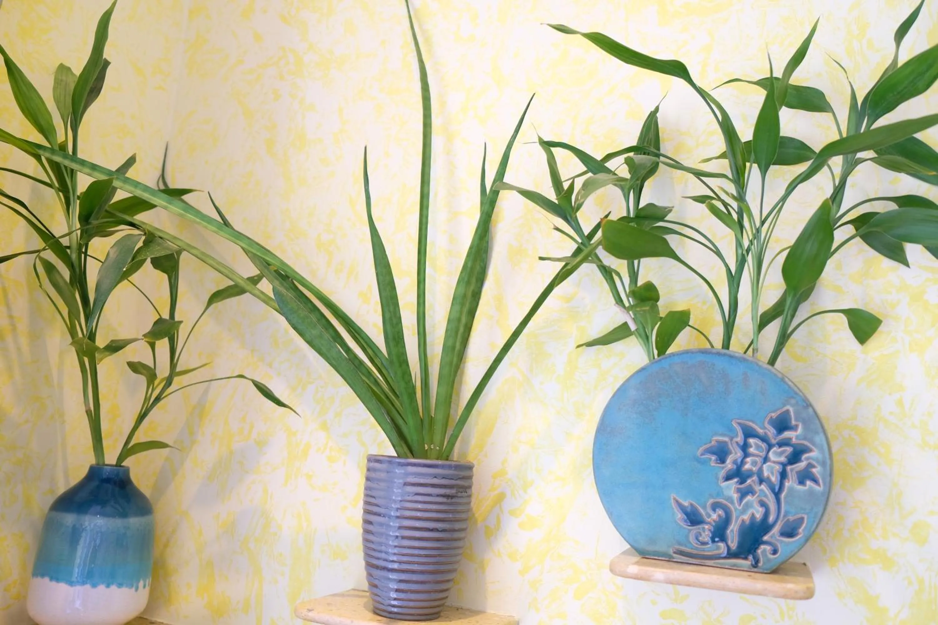 La Marina Boutique Hotel & Spa