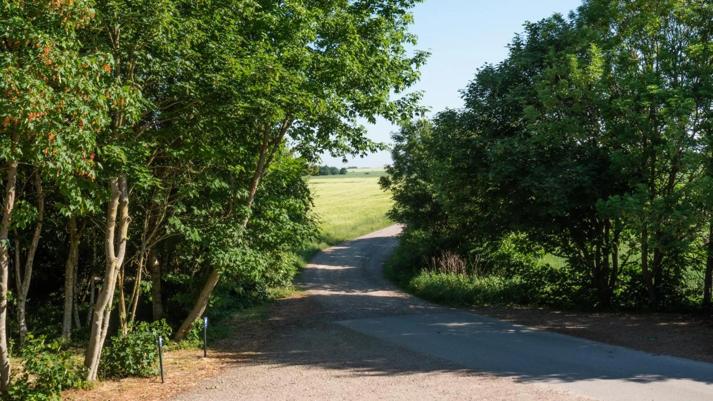 Natural landscape in Adventure Park Apartments