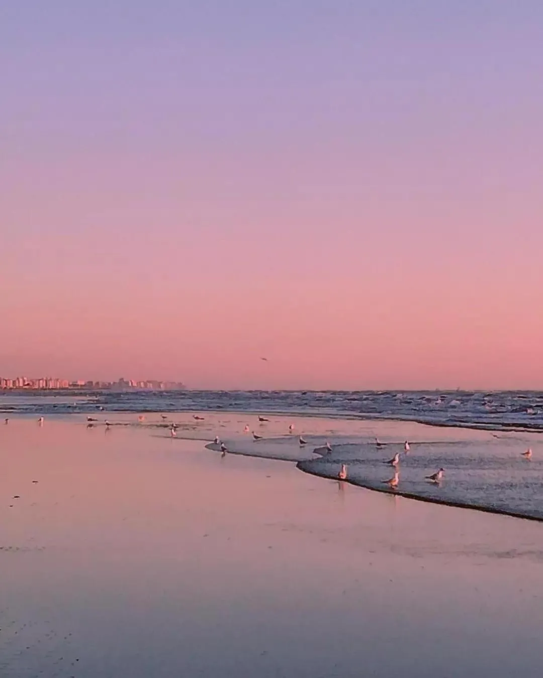 Day in Hotel Smart Cervia B&B