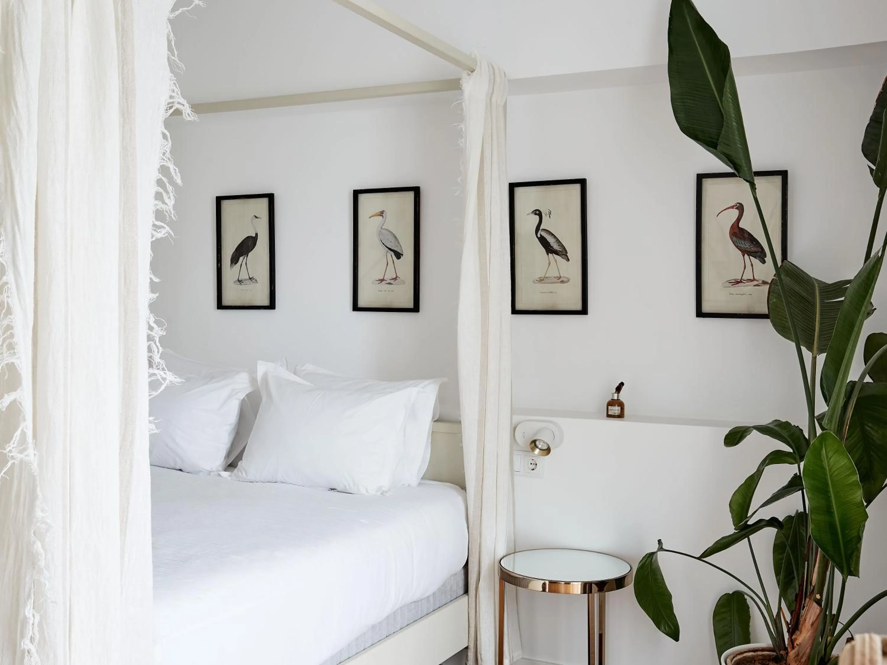 Bed in Casa Apollo Guesthouse