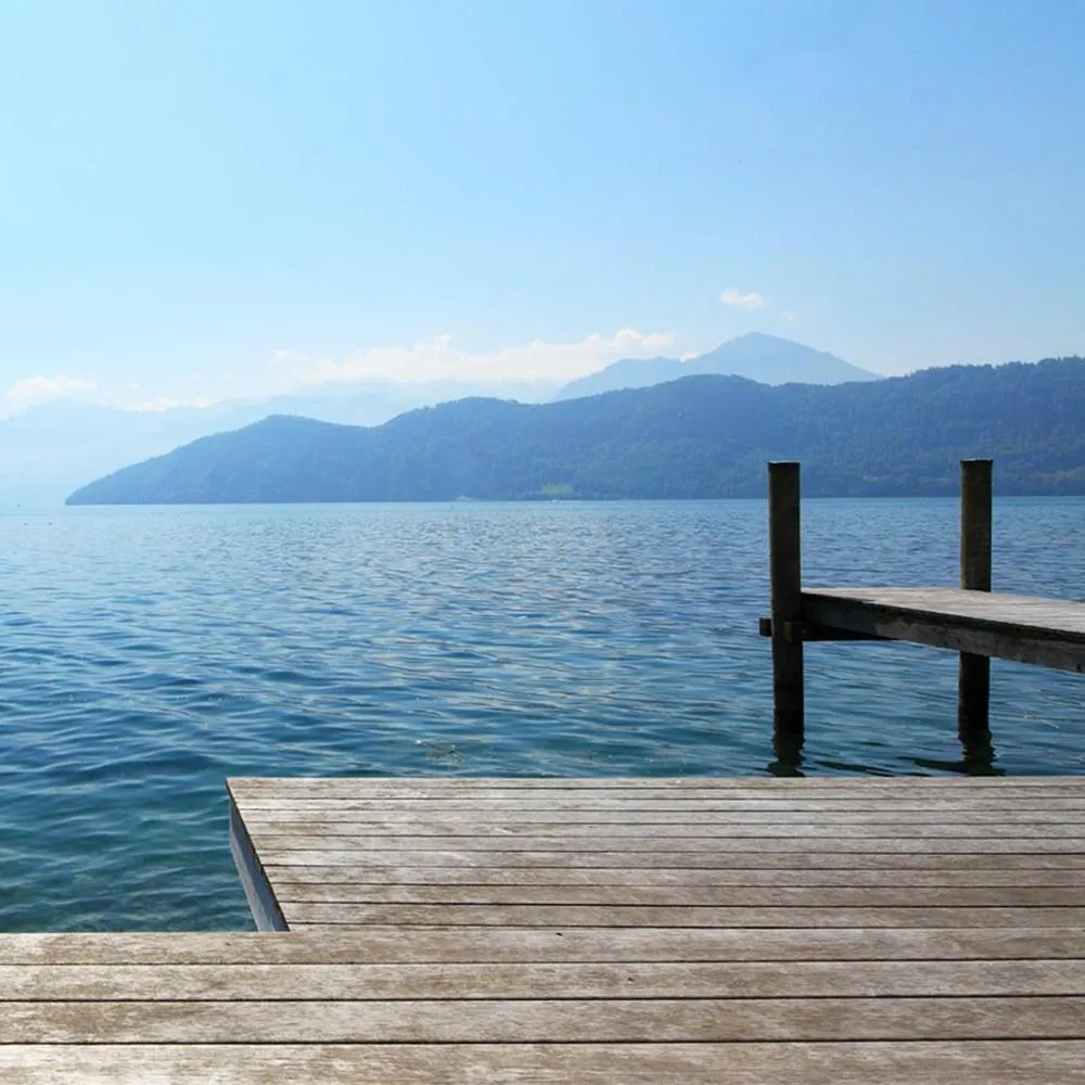 Natural landscape in Seminar-Hotel Rigi am See