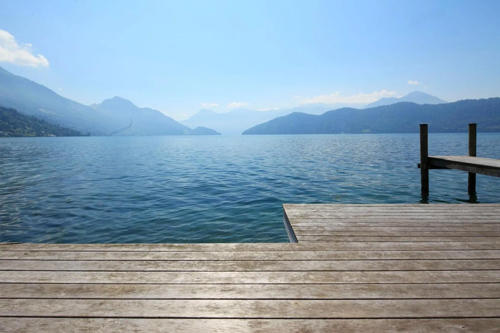 Garden in Seminar-Hotel Rigi am See
