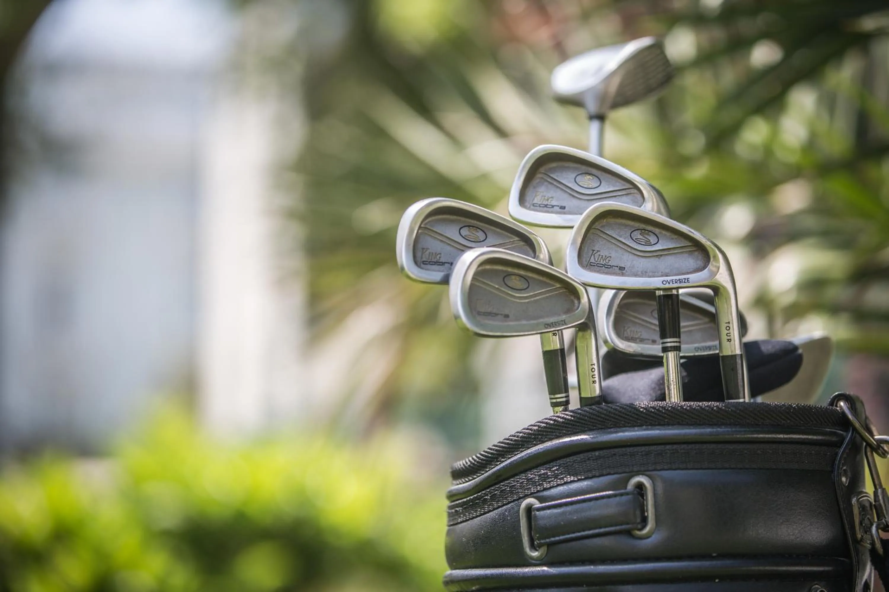 Golfcourse in Hotel Vittoria