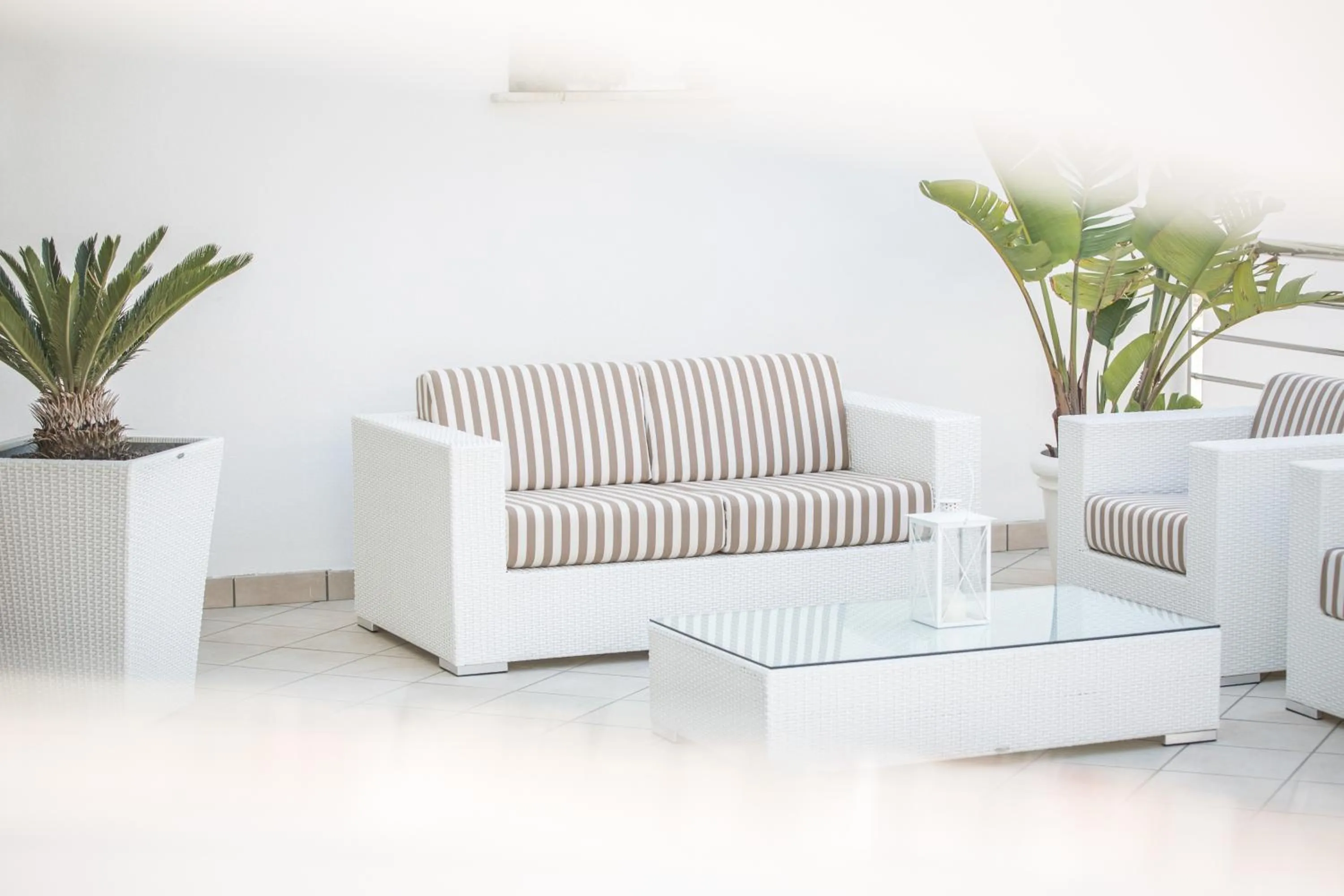 Area and facilities in Hotel Vittoria