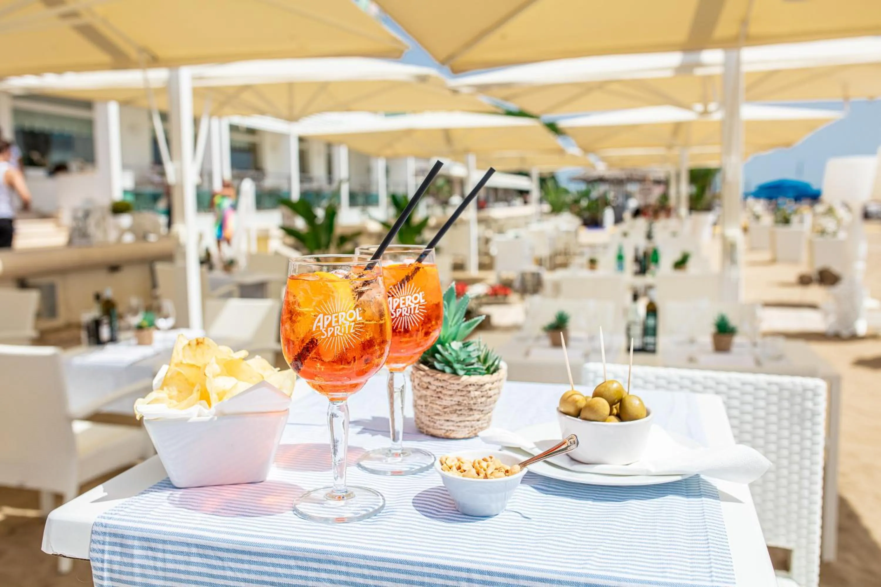 Area and facilities in Hotel Vittoria