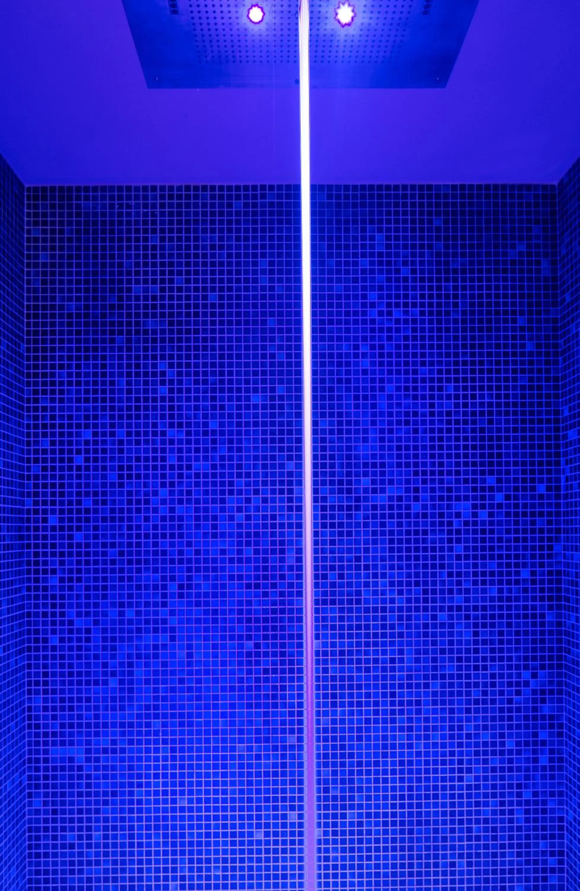 Hot Tub in Hôtel Artemisia Montmartre