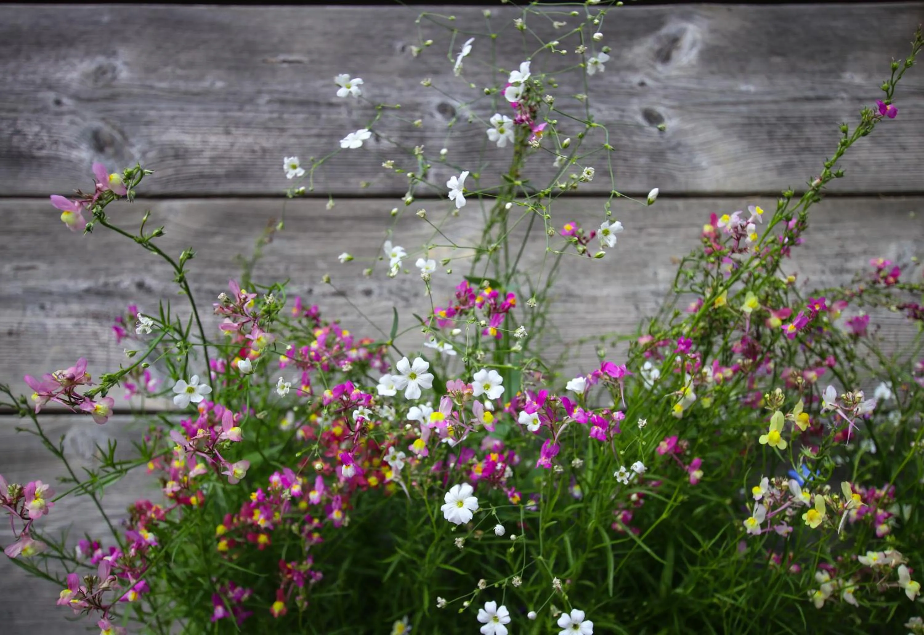 Other in Hotel & Restaurant Druidenstein