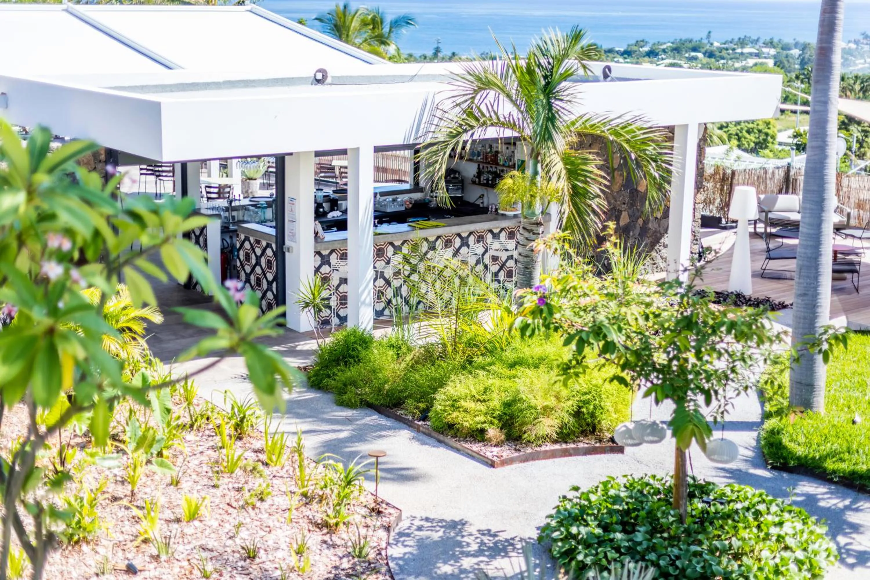 Garden in Latitude 21