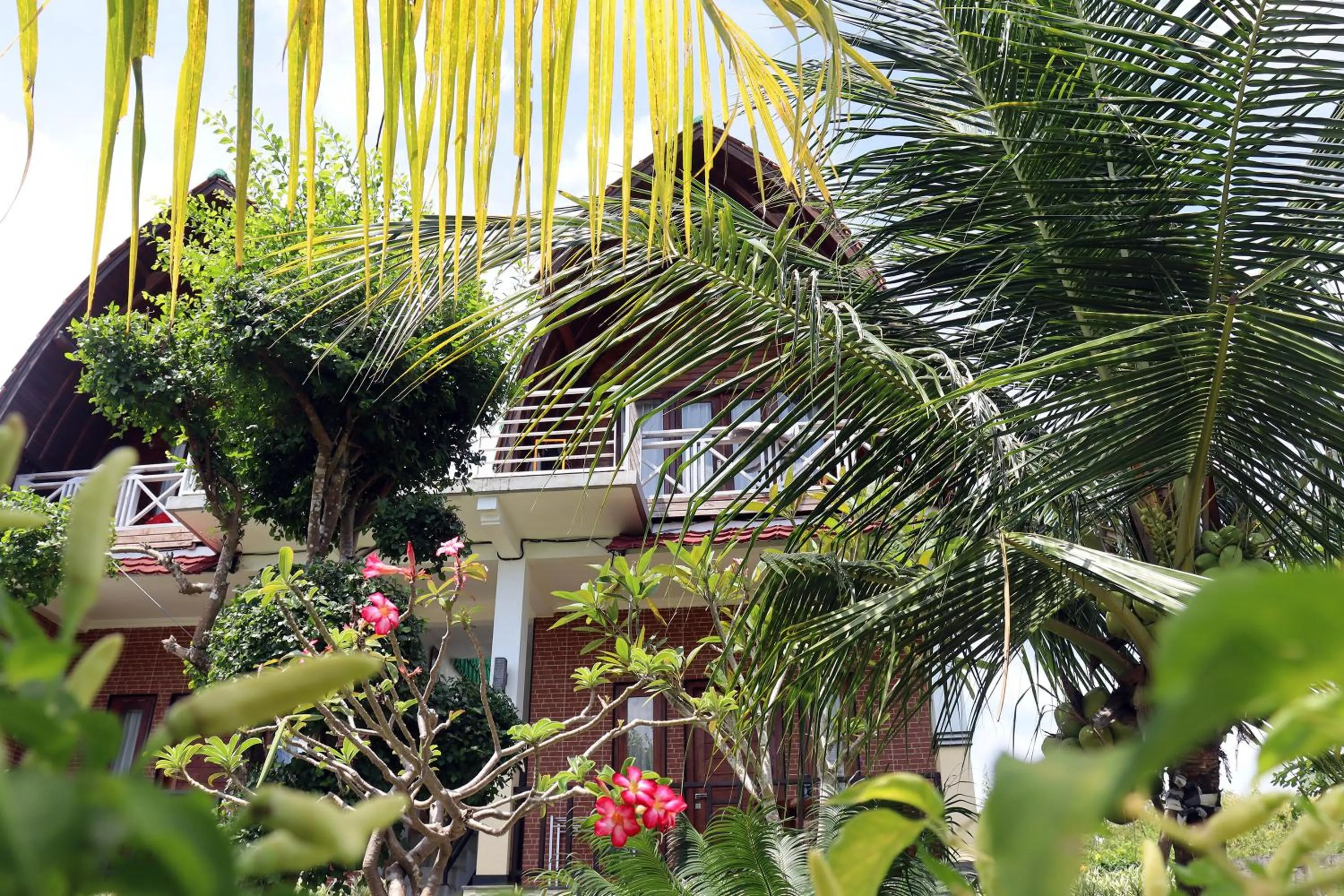 Property building in Sunny Point Penida