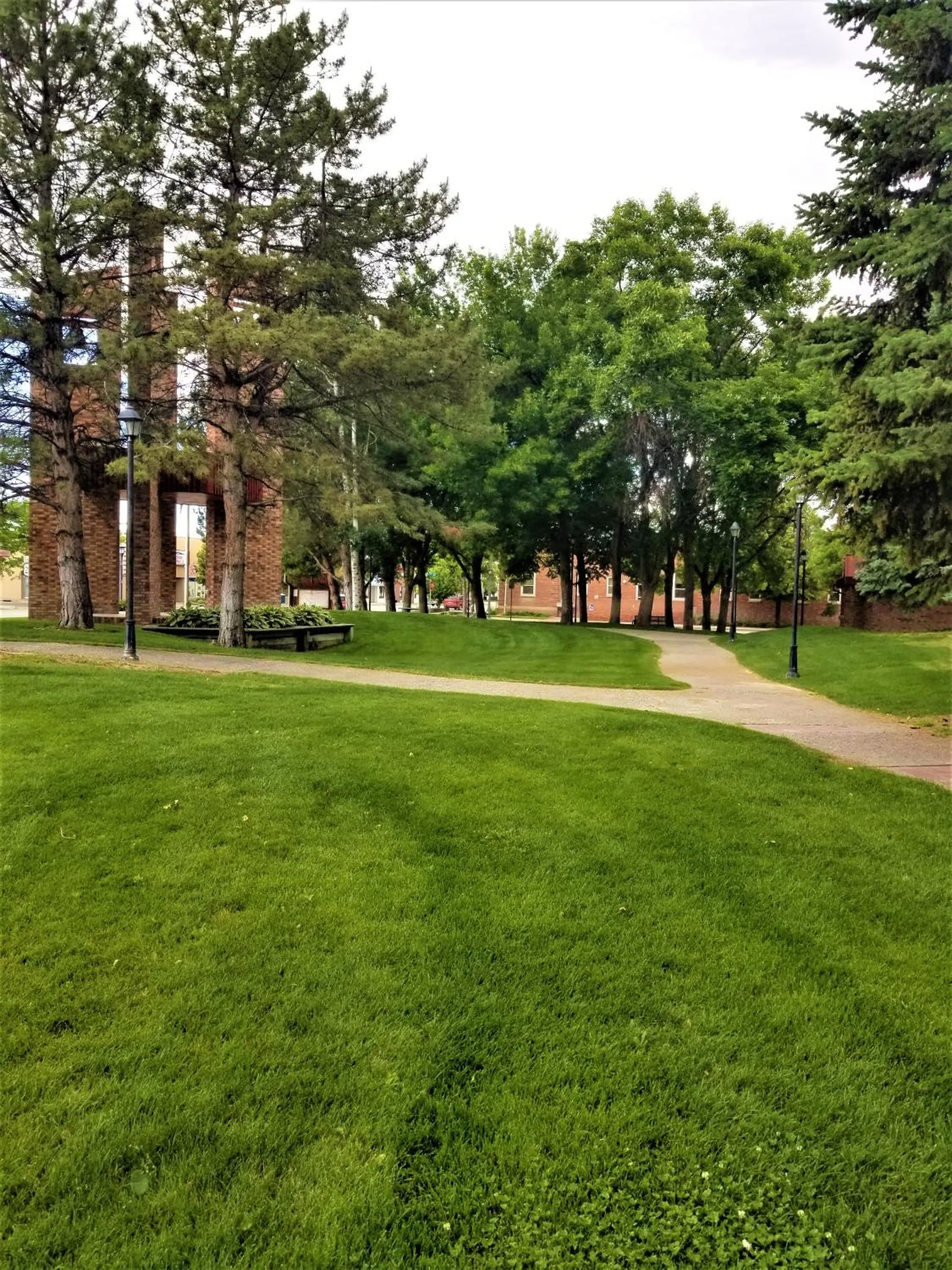 Natural landscape in Town House Motor Inn