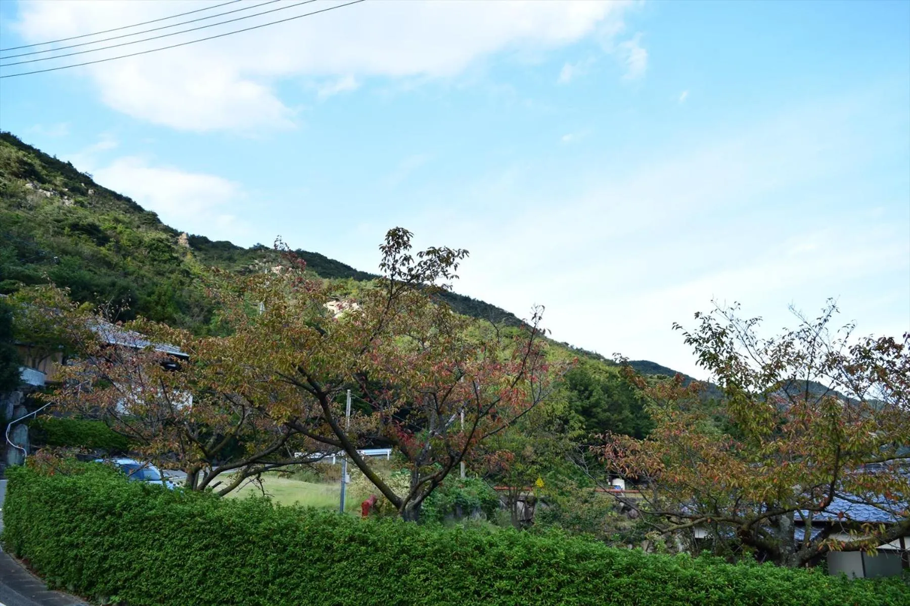 Off site in Sea Tiger Island Inn Shodoshima